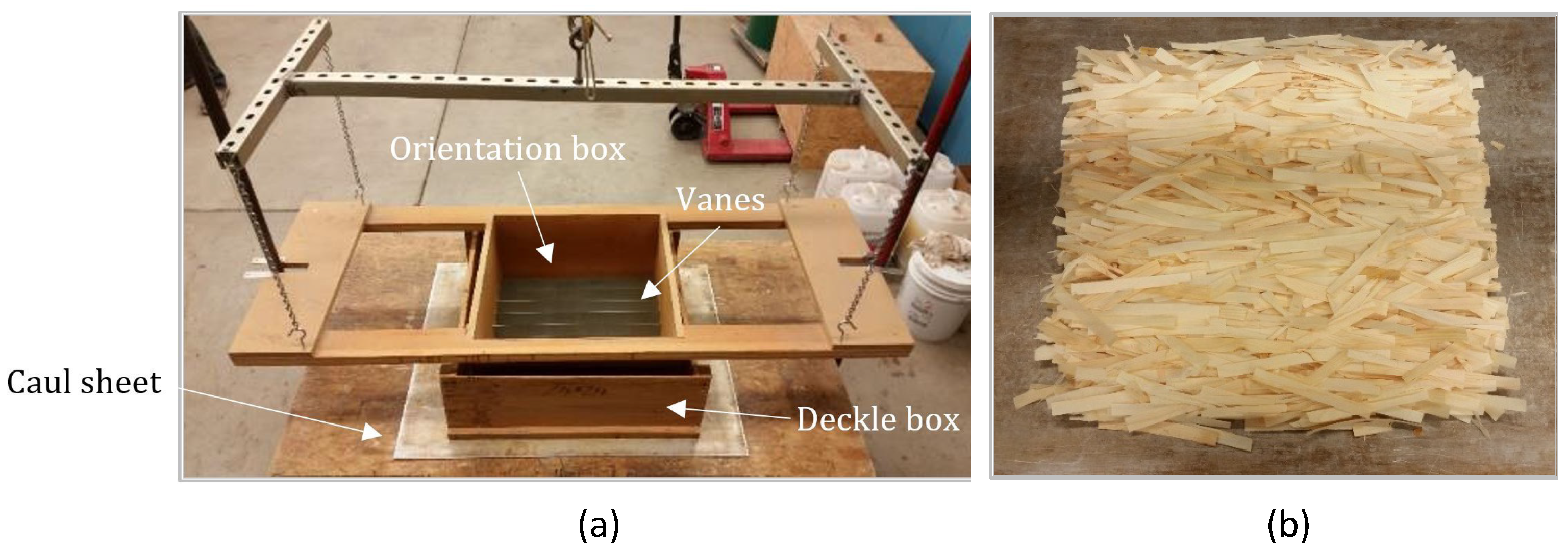Forests 13 00278 g001 550