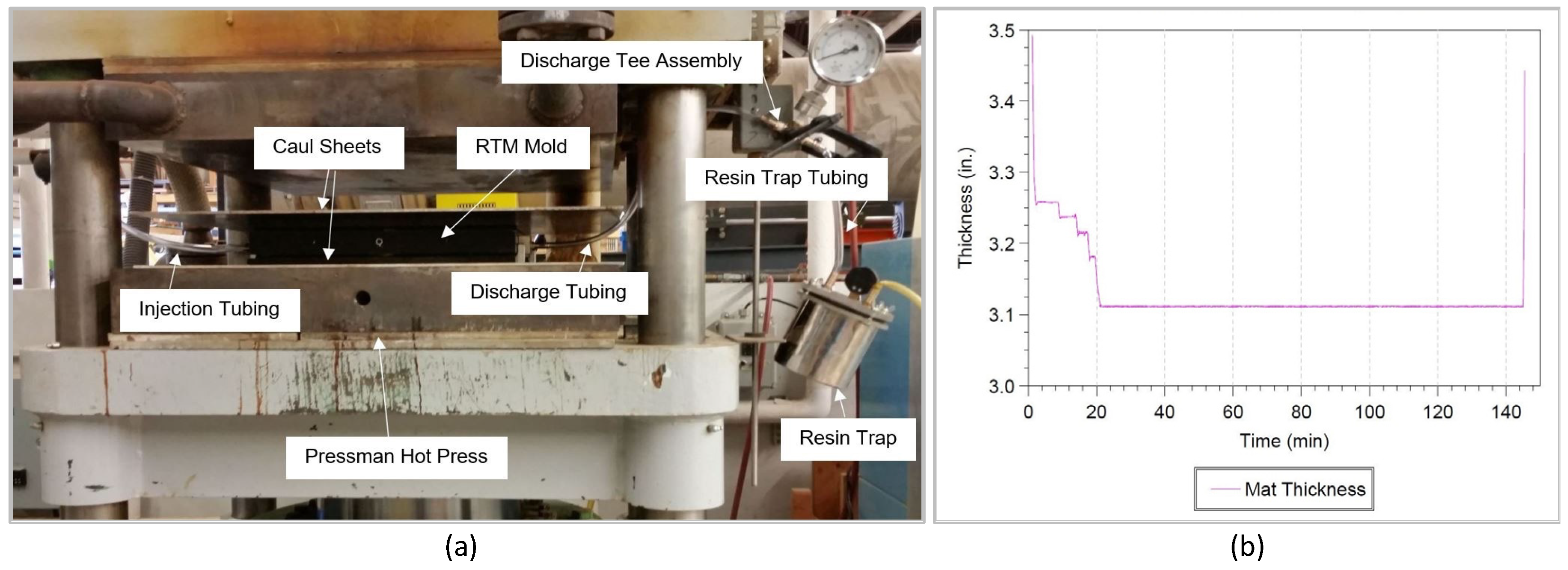 Forests 13 00278 g003 550