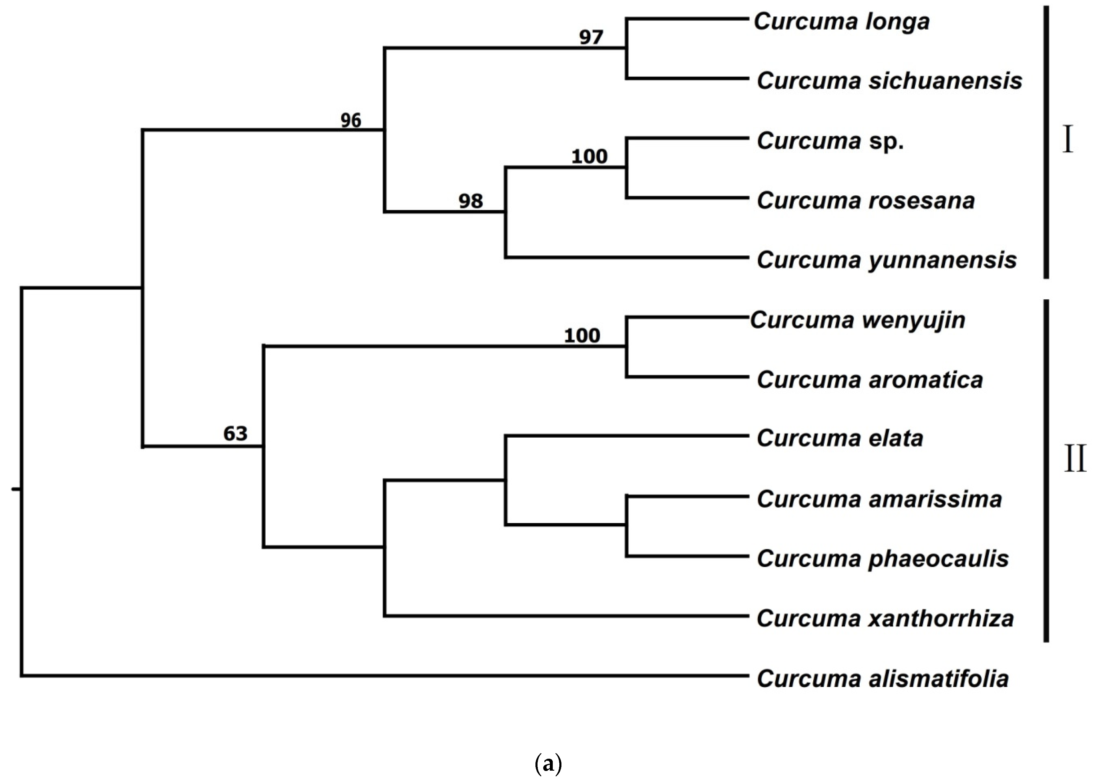 Forests 13 00280 g001a