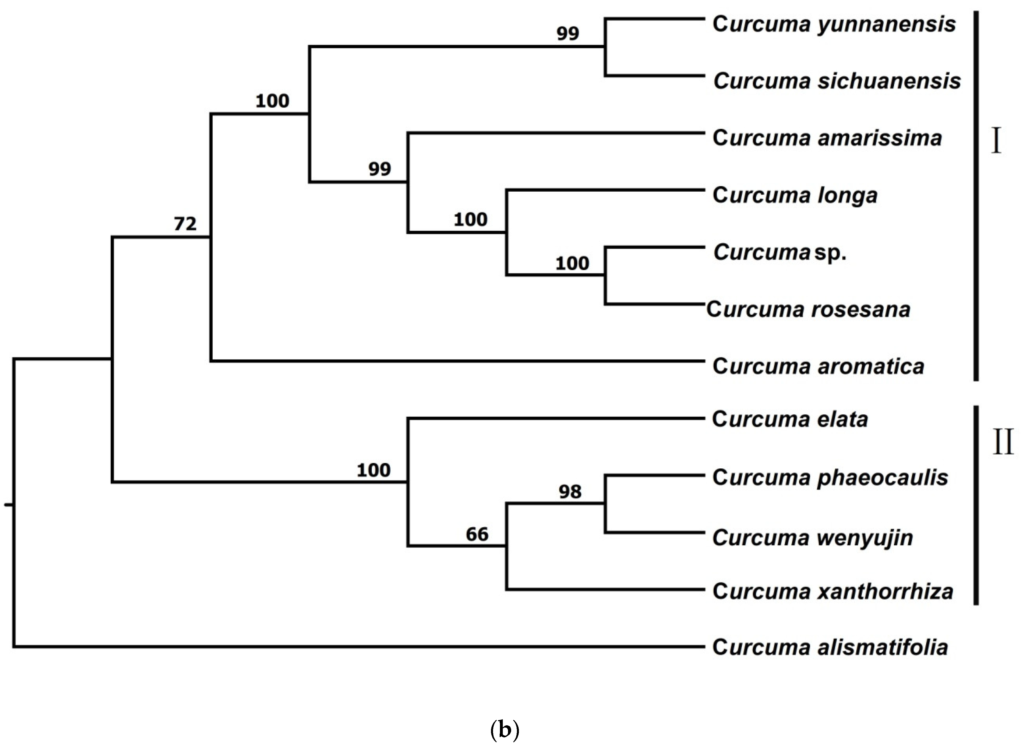 Forests 13 00280 g001b