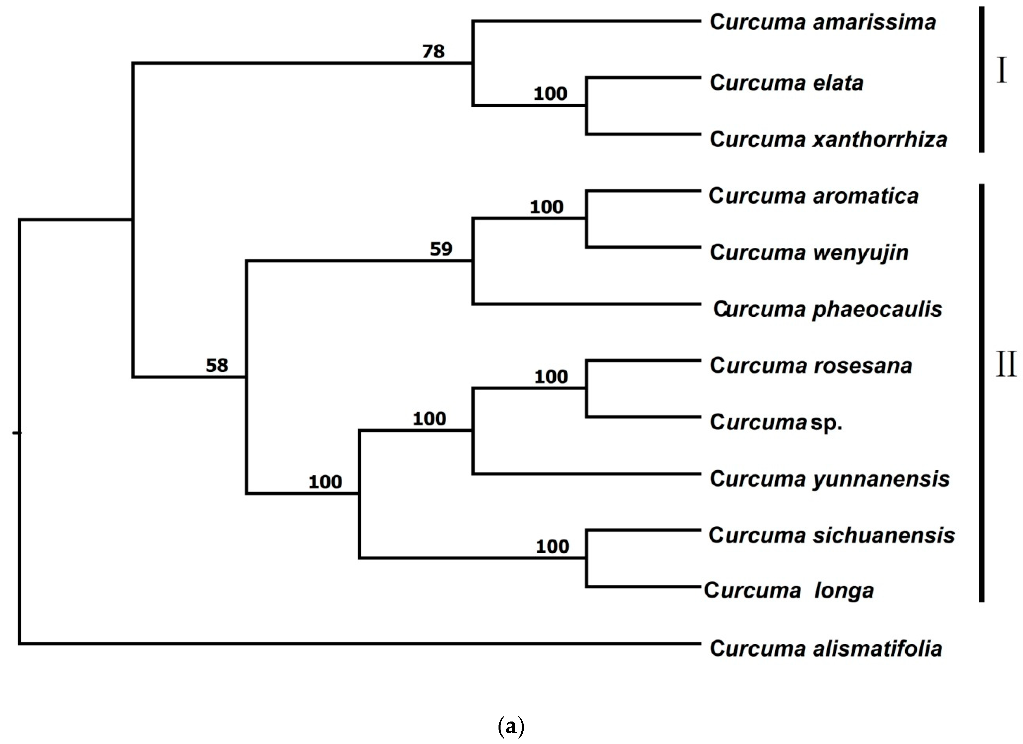 Forests 13 00280 g002a