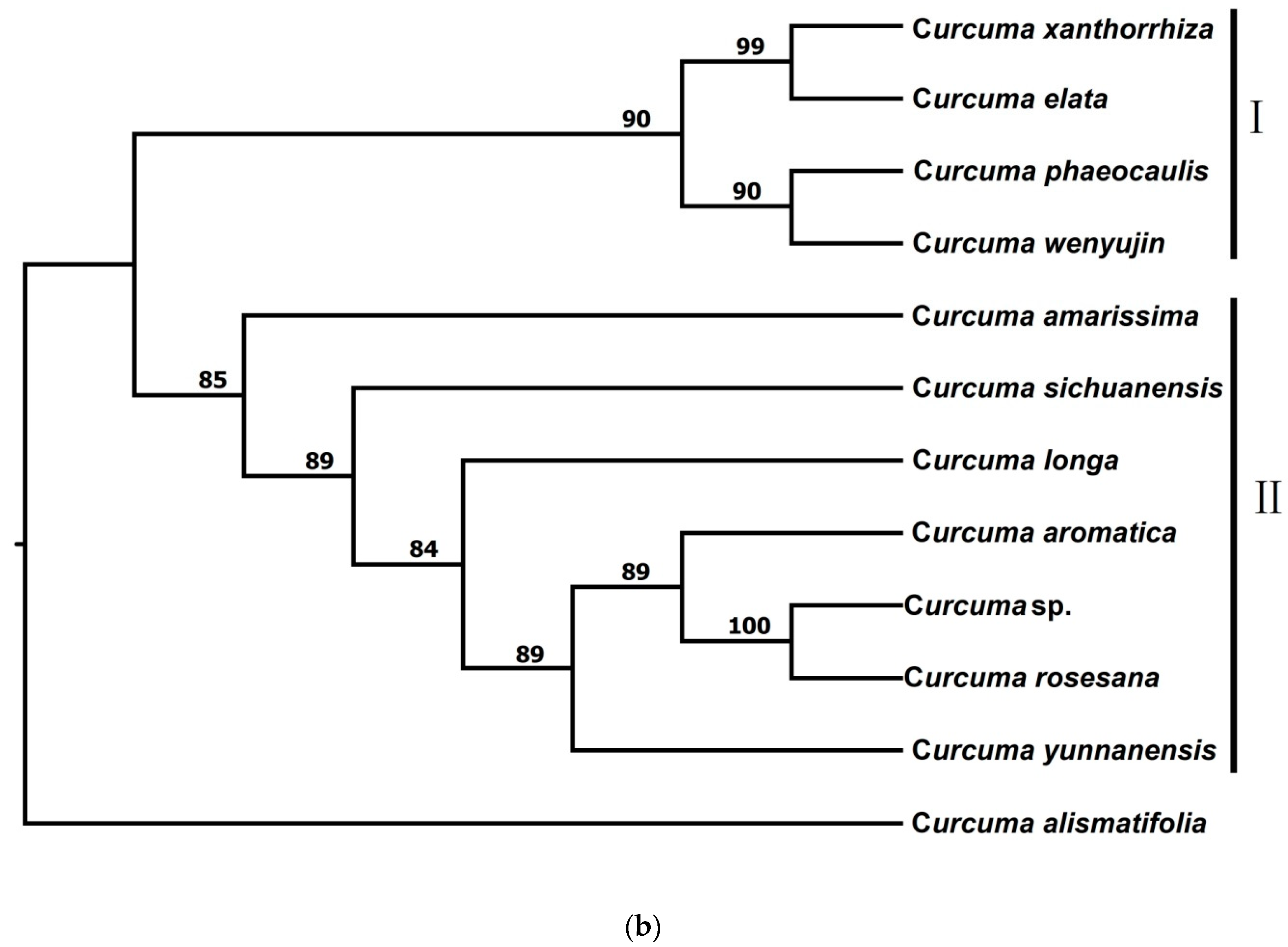 Forests 13 00280 g002b