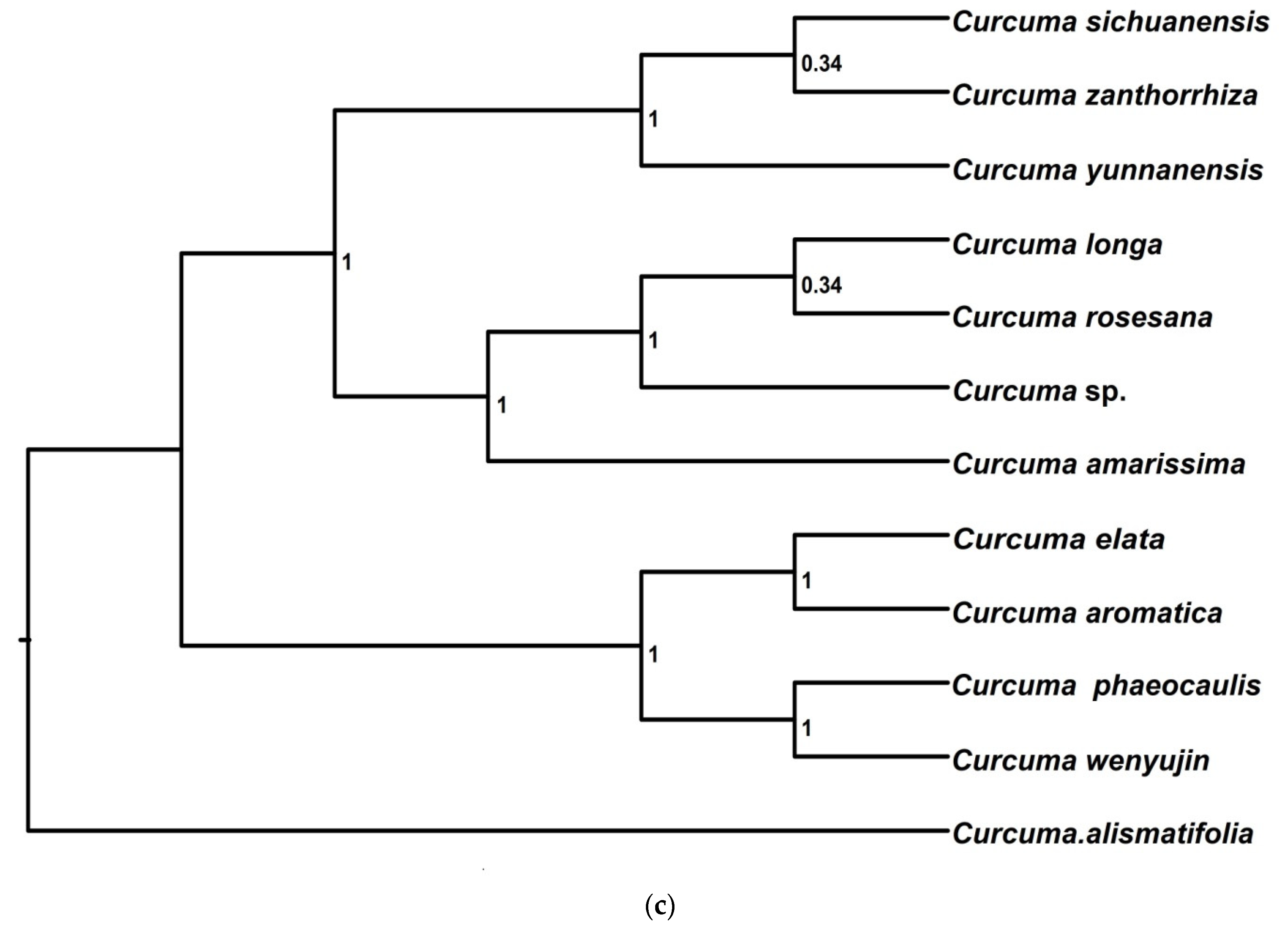 Forests 13 00280 g004b
