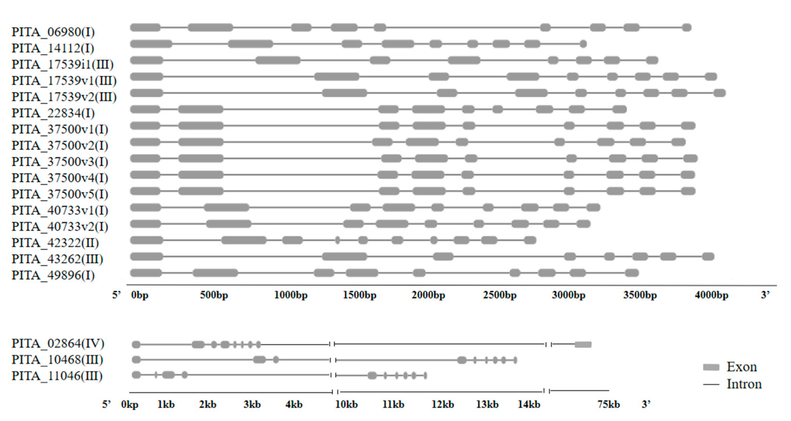 Forests 13 00283 g002 550