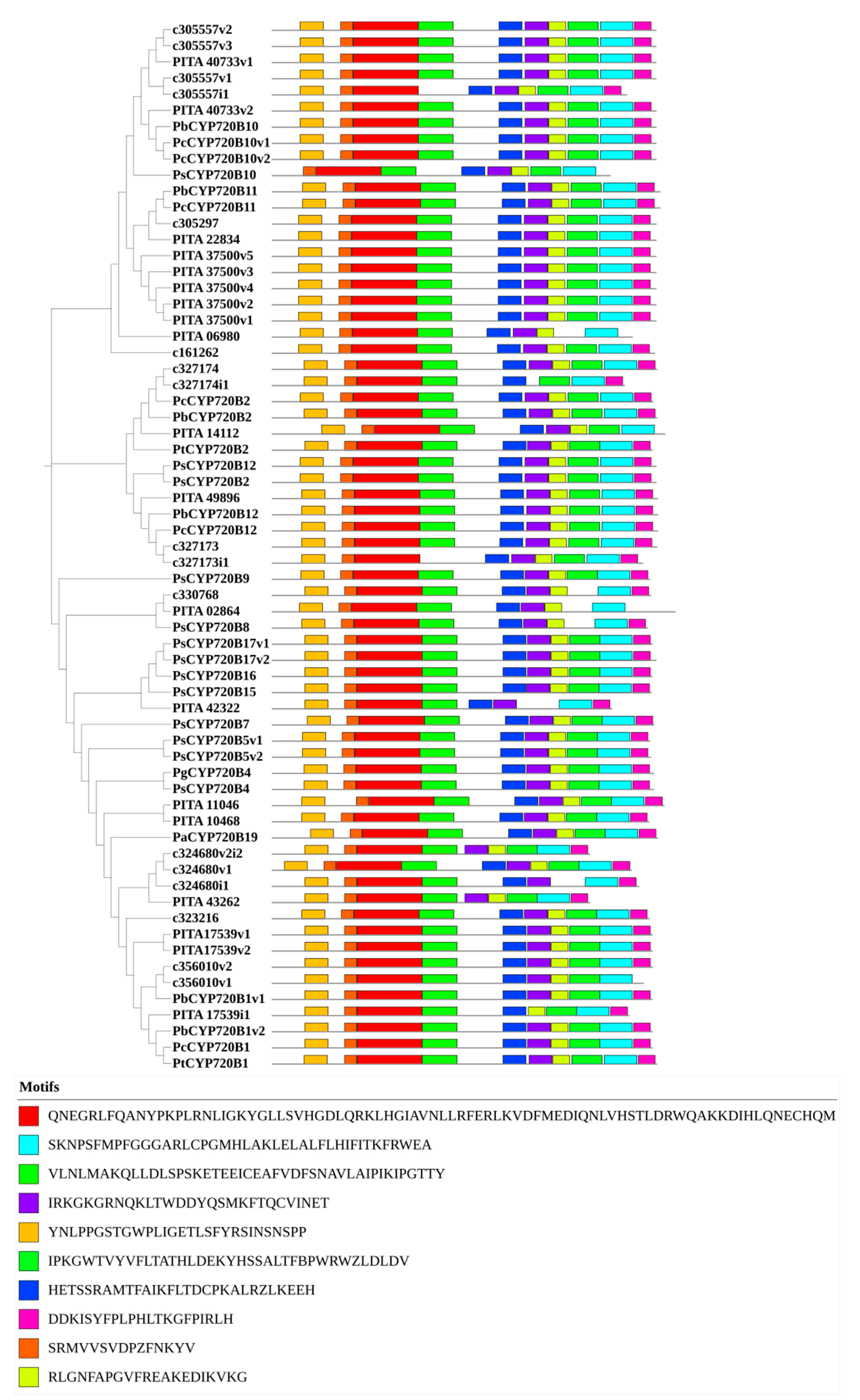 Forests 13 00283 g003 550