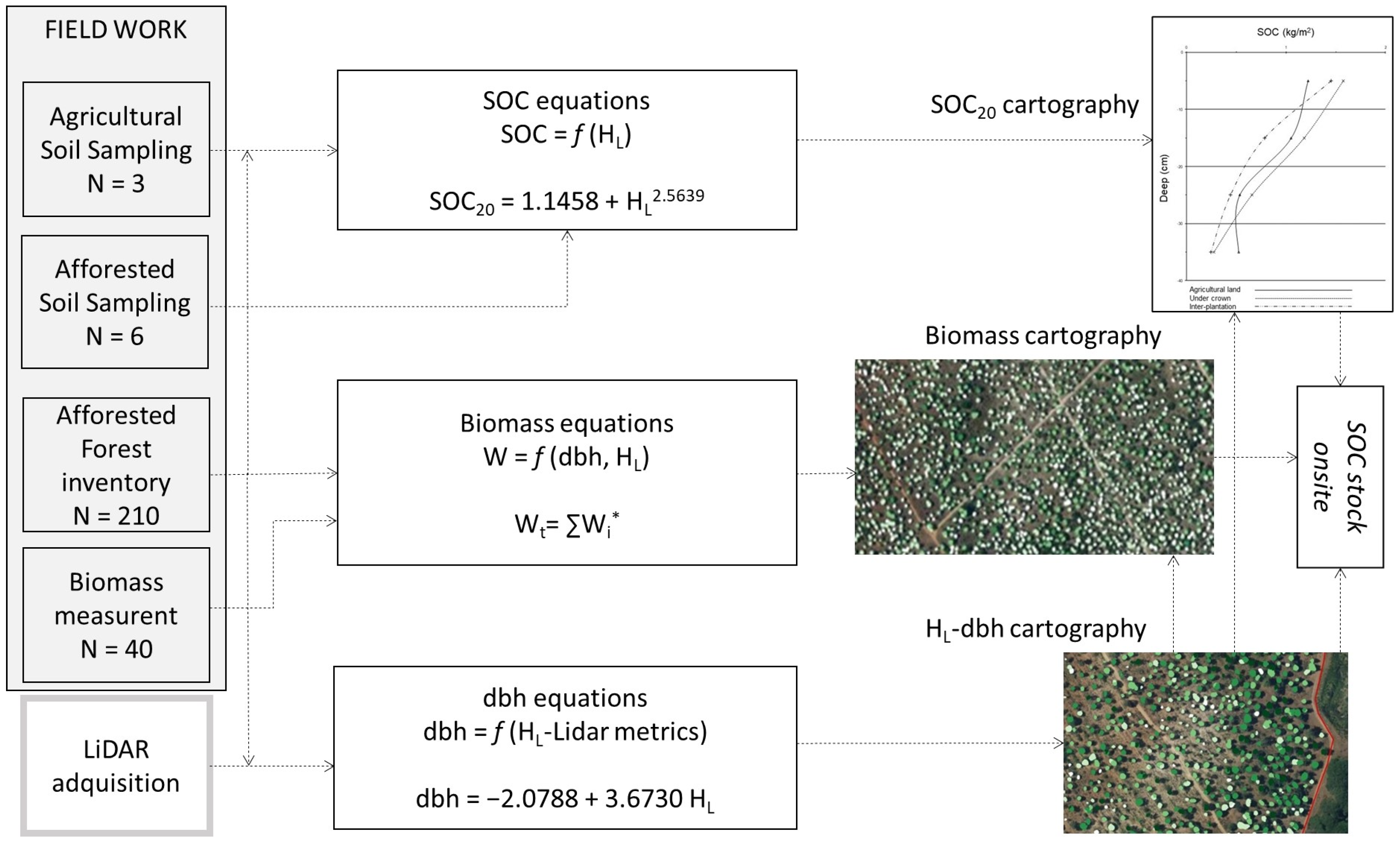Forests 13 00285 g001 550
