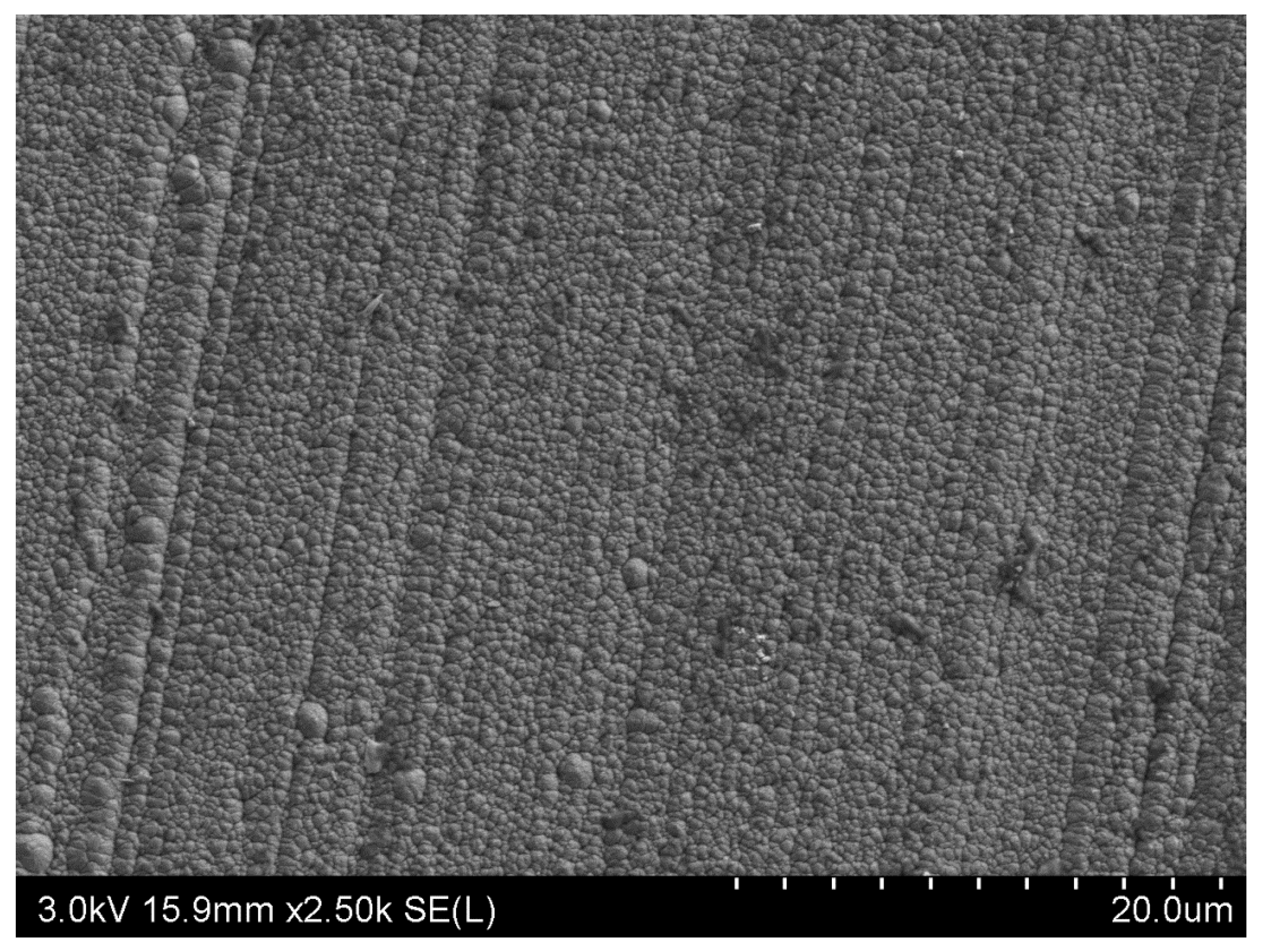 Forests 13 00286 g005 550