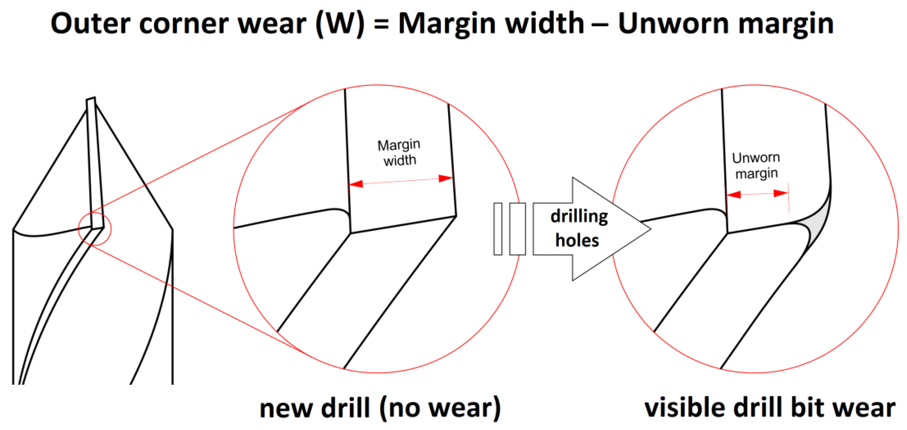 Forests 13 00286 g007 550