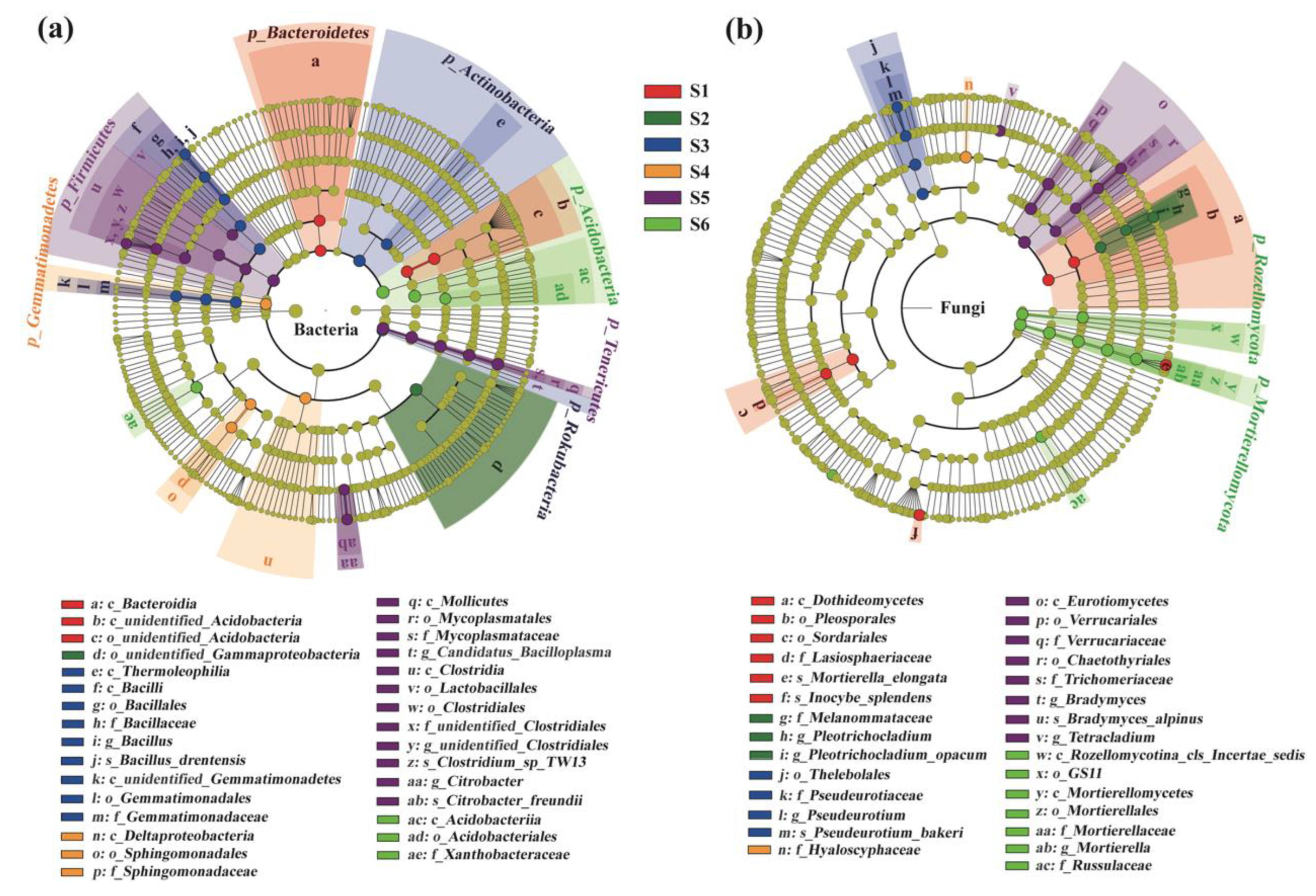 Forests 13 00289 g005