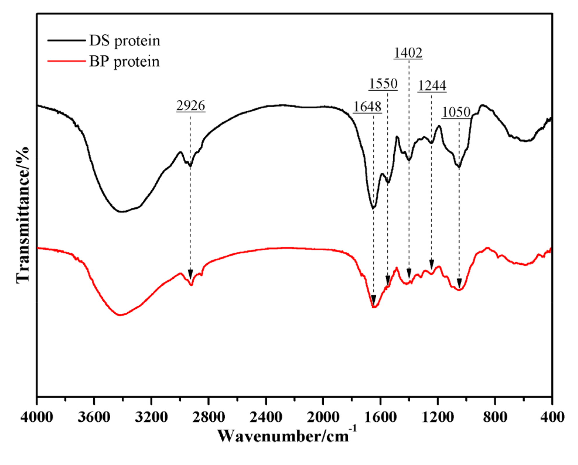 Forests 13 00291 g001