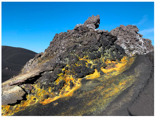 Biotic consequences of a volcanic flank collapse. (a) Flank collapse is