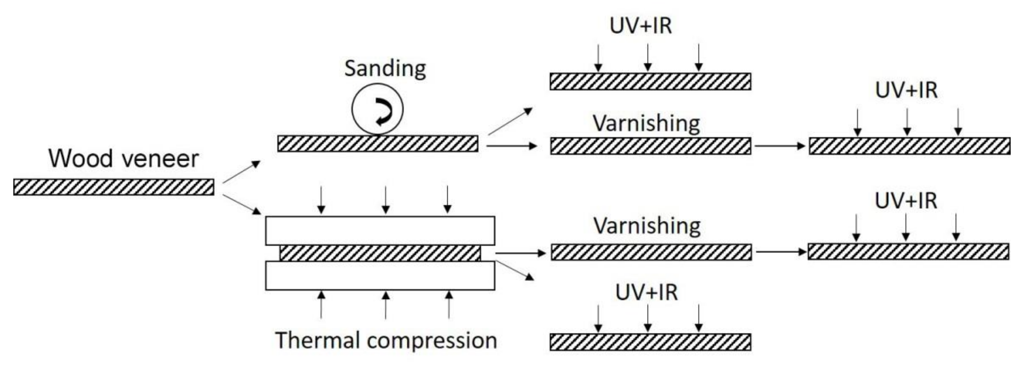 Forests 13 00300 g001 550