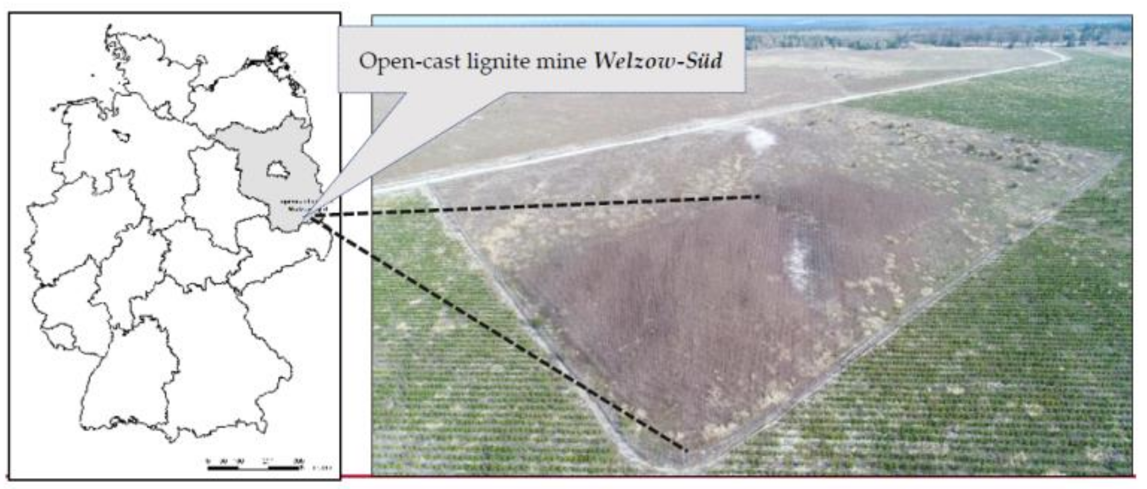 Forests 13 00315 g001 550