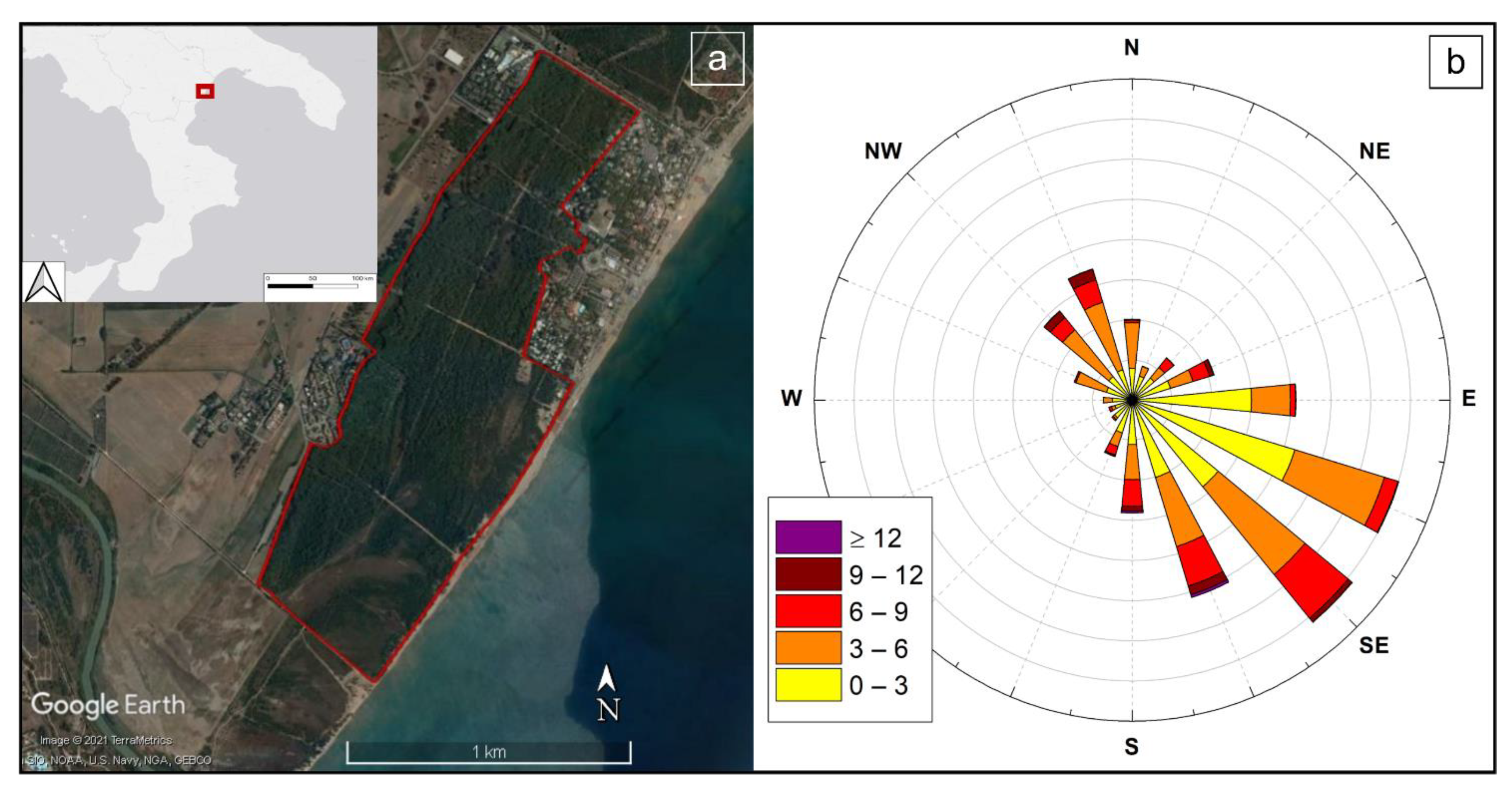 Forests 13 00322 g001