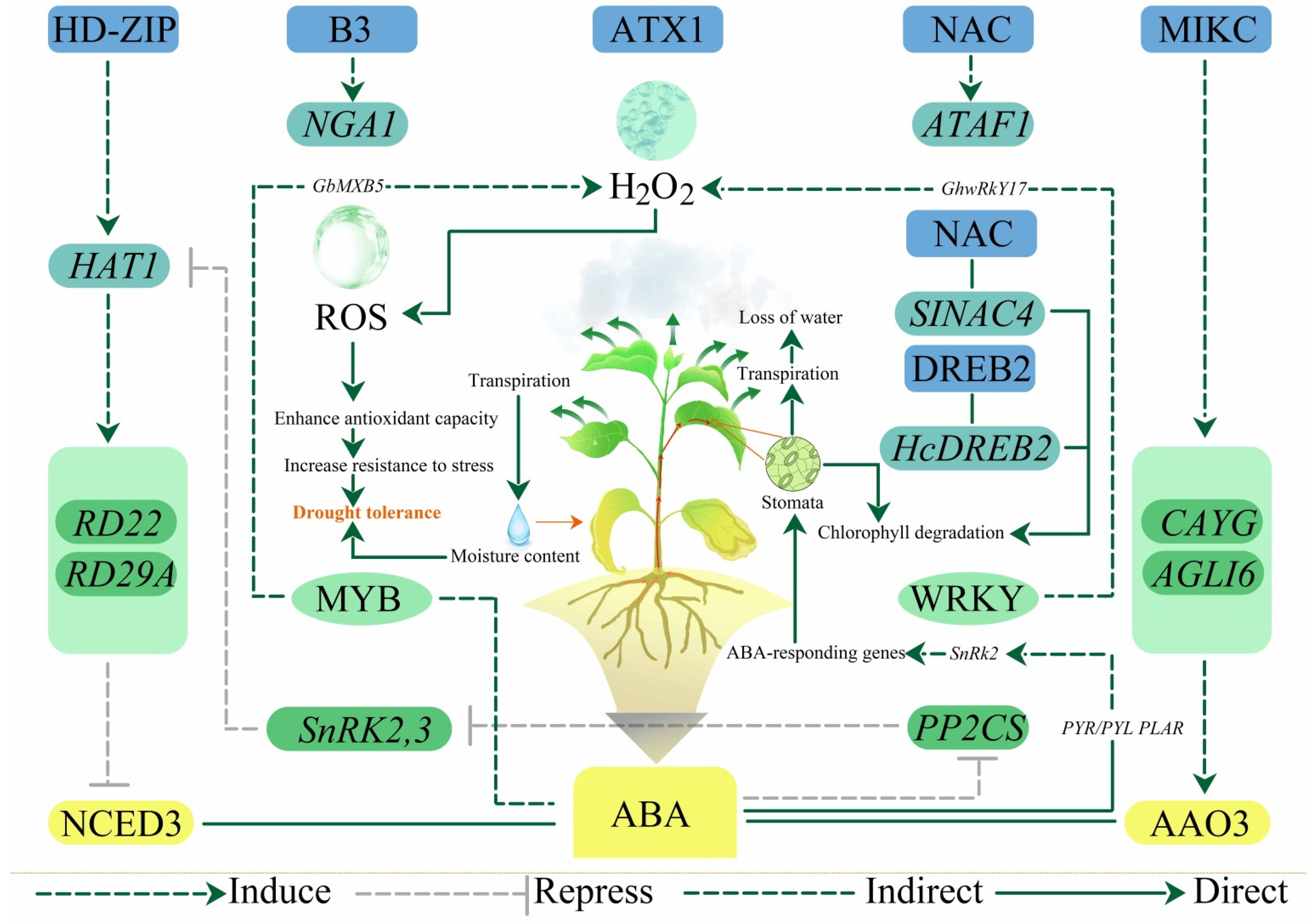 Forests 13 00324 g002 Forests 13 00324 g002