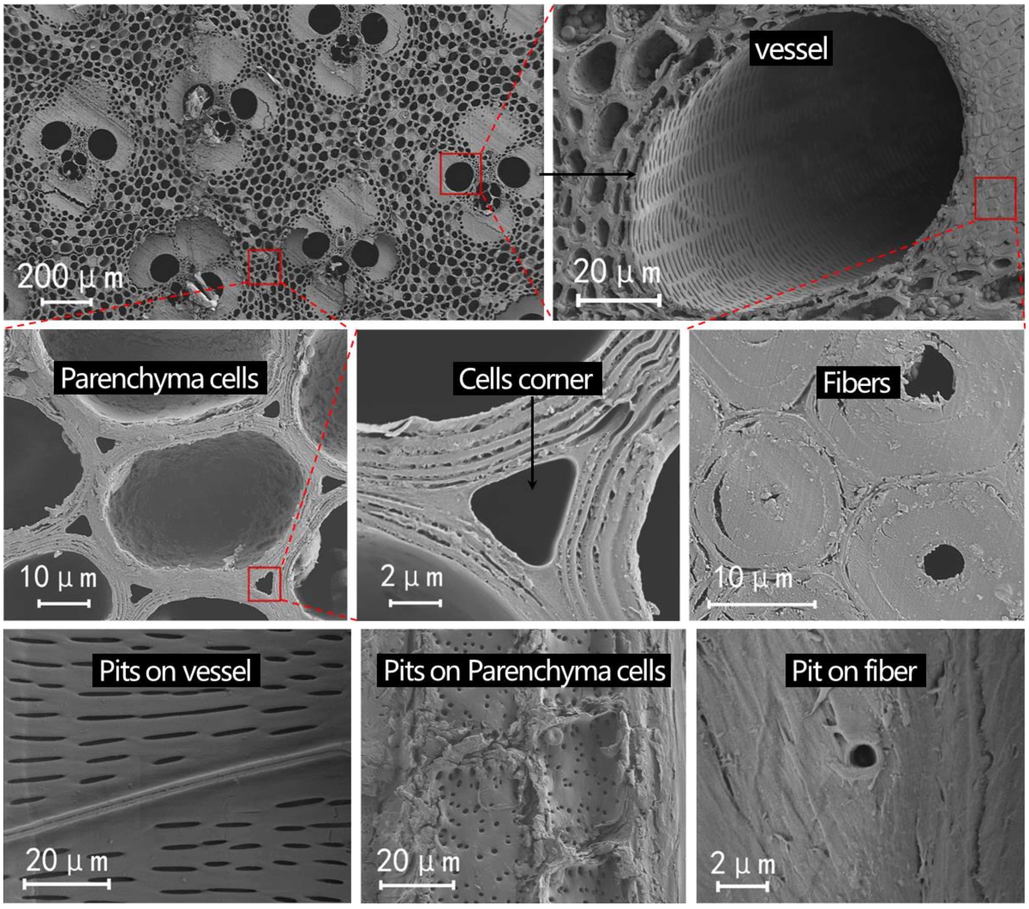 Forests 13 00329 g004