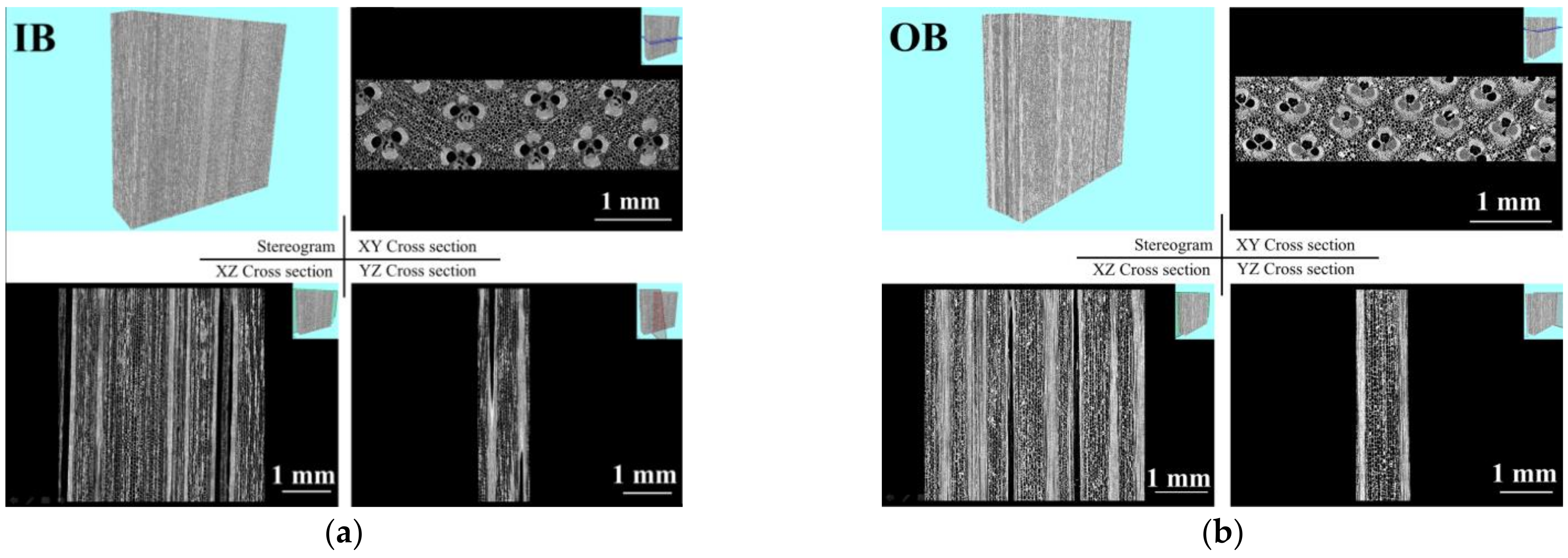 Forests 13 00329 g005a