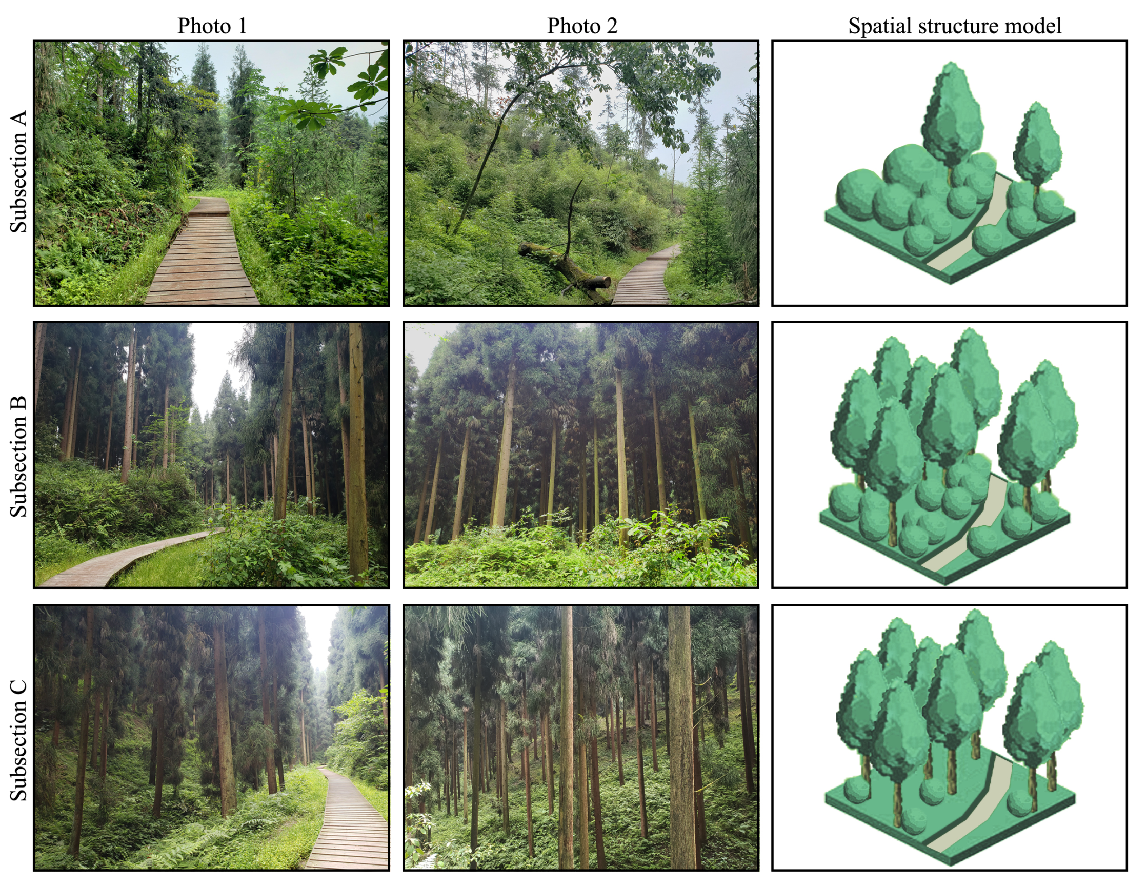 Forests 13 00335 g002 550