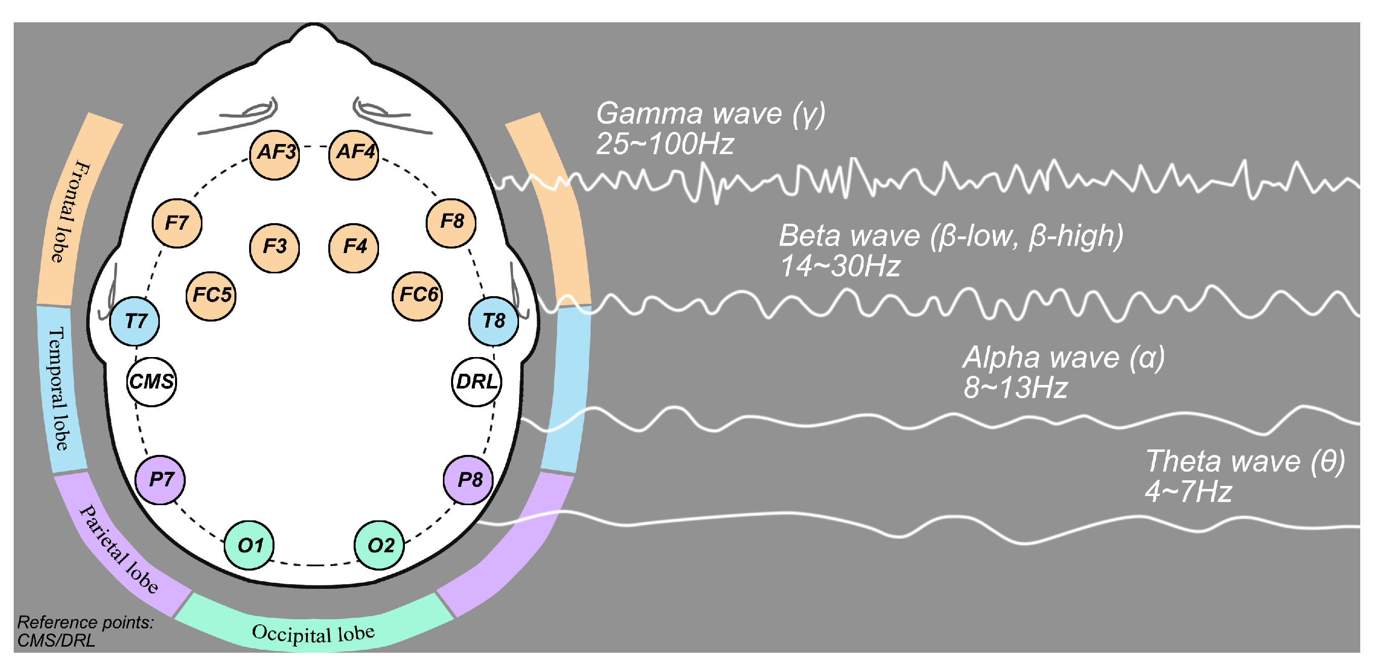 Forests 13 00335 g003 550