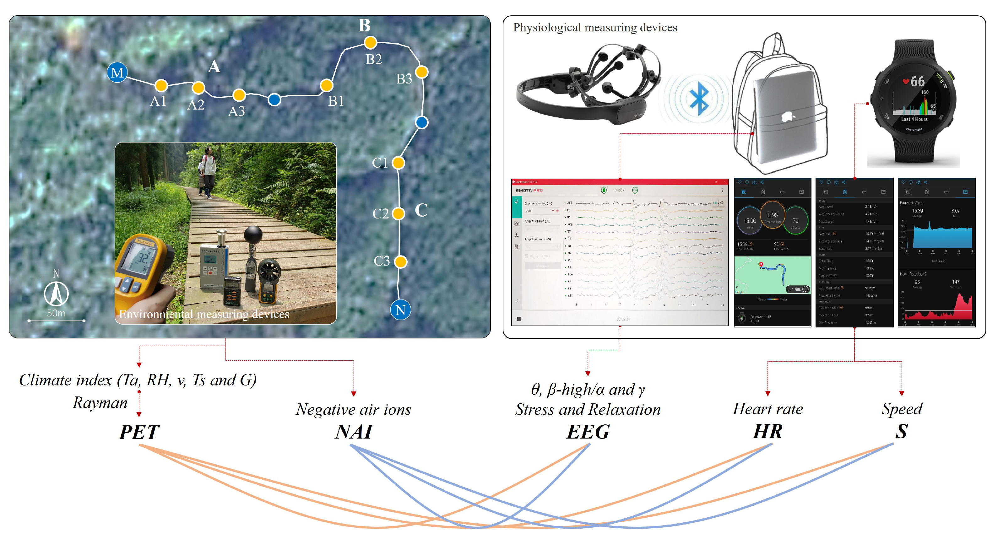 Forests 13 00335 g004 550