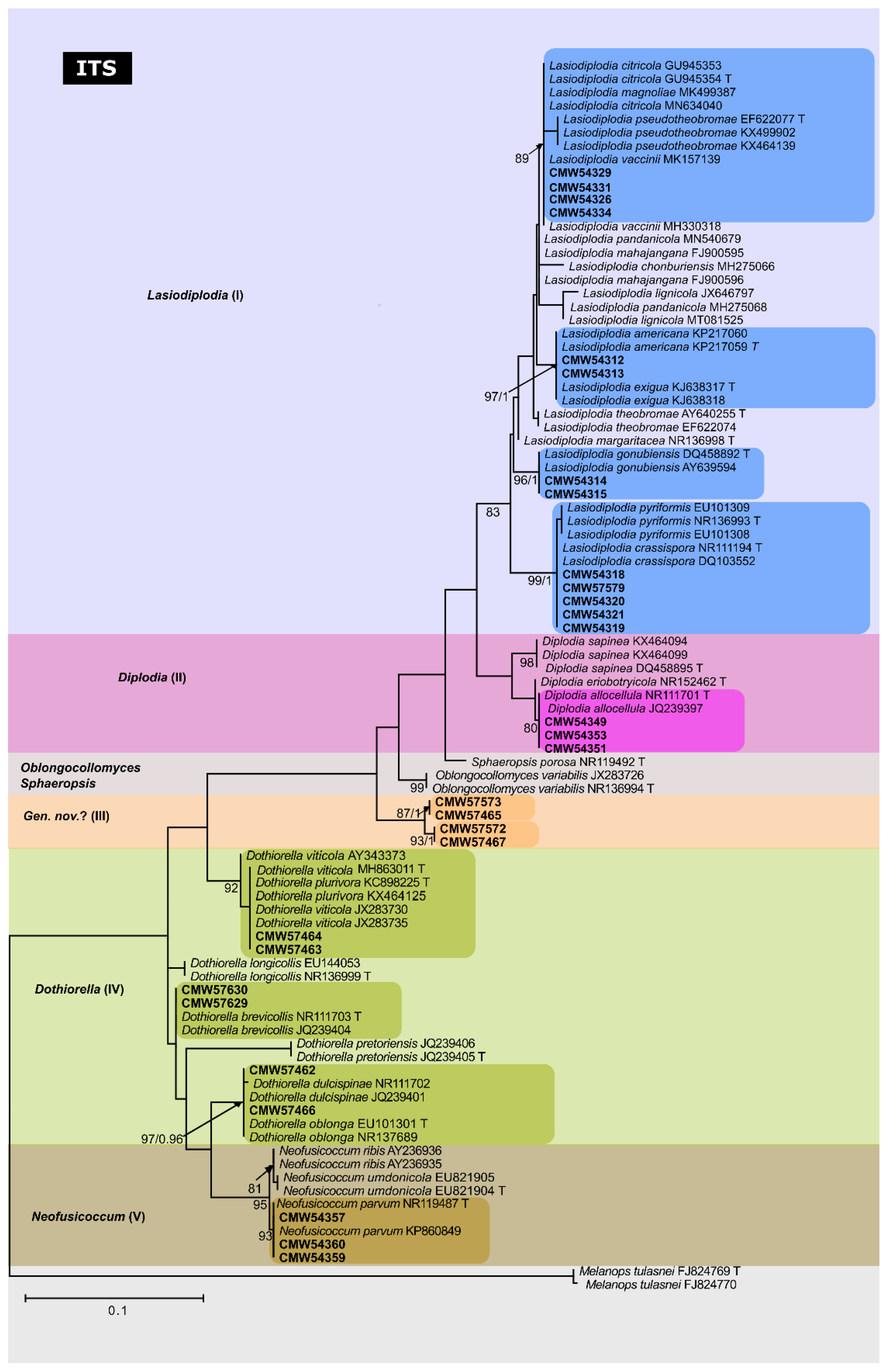 Forests 13 00341 g002 Forests 13 00341 g002