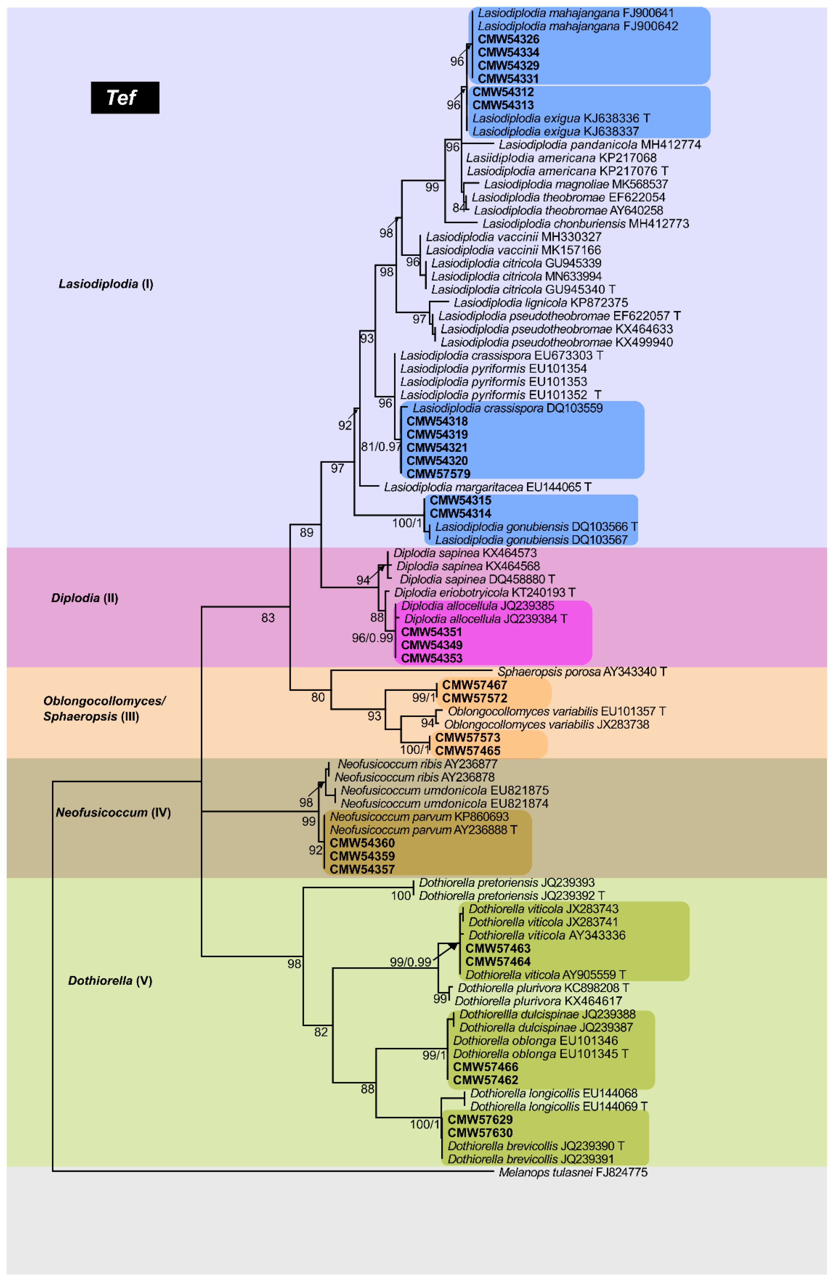 Forests 13 00341 g003 Forests 13 00341 g003