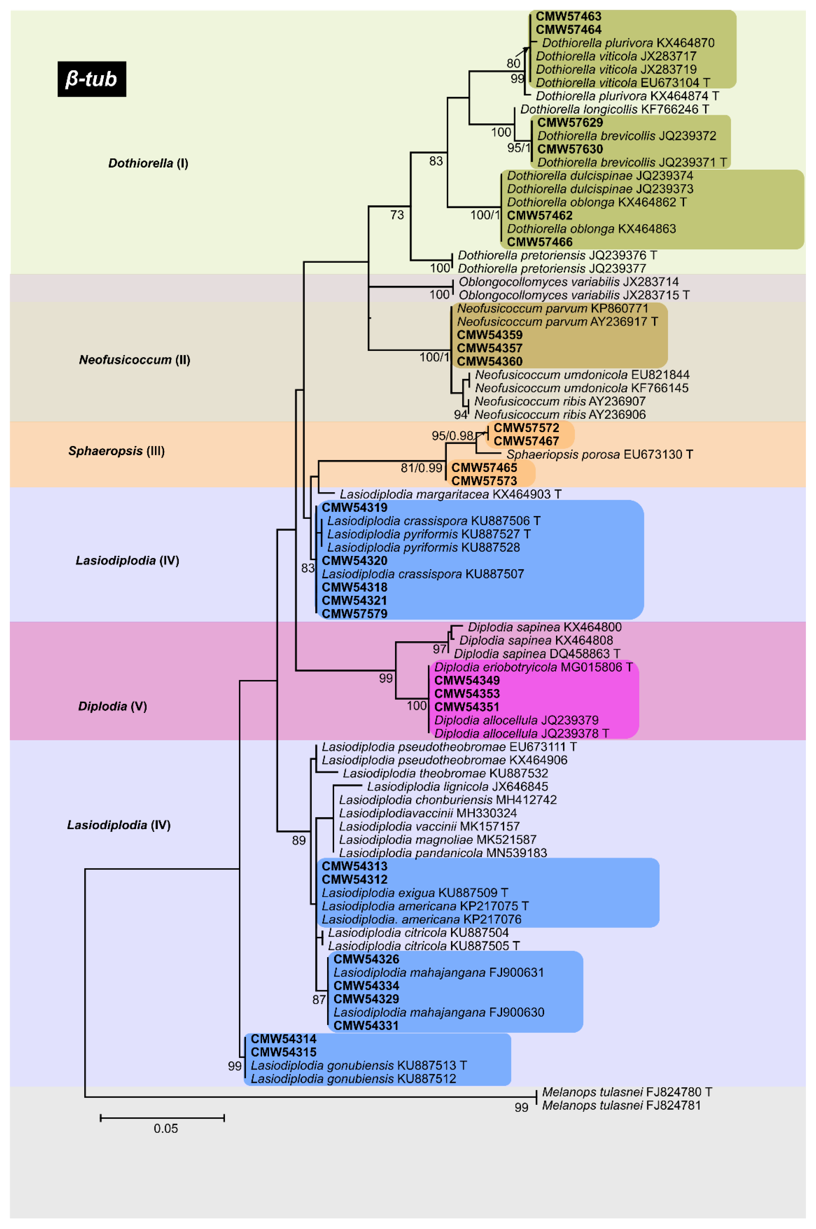 Forests 13 00341 g004 Forests 13 00341 g004