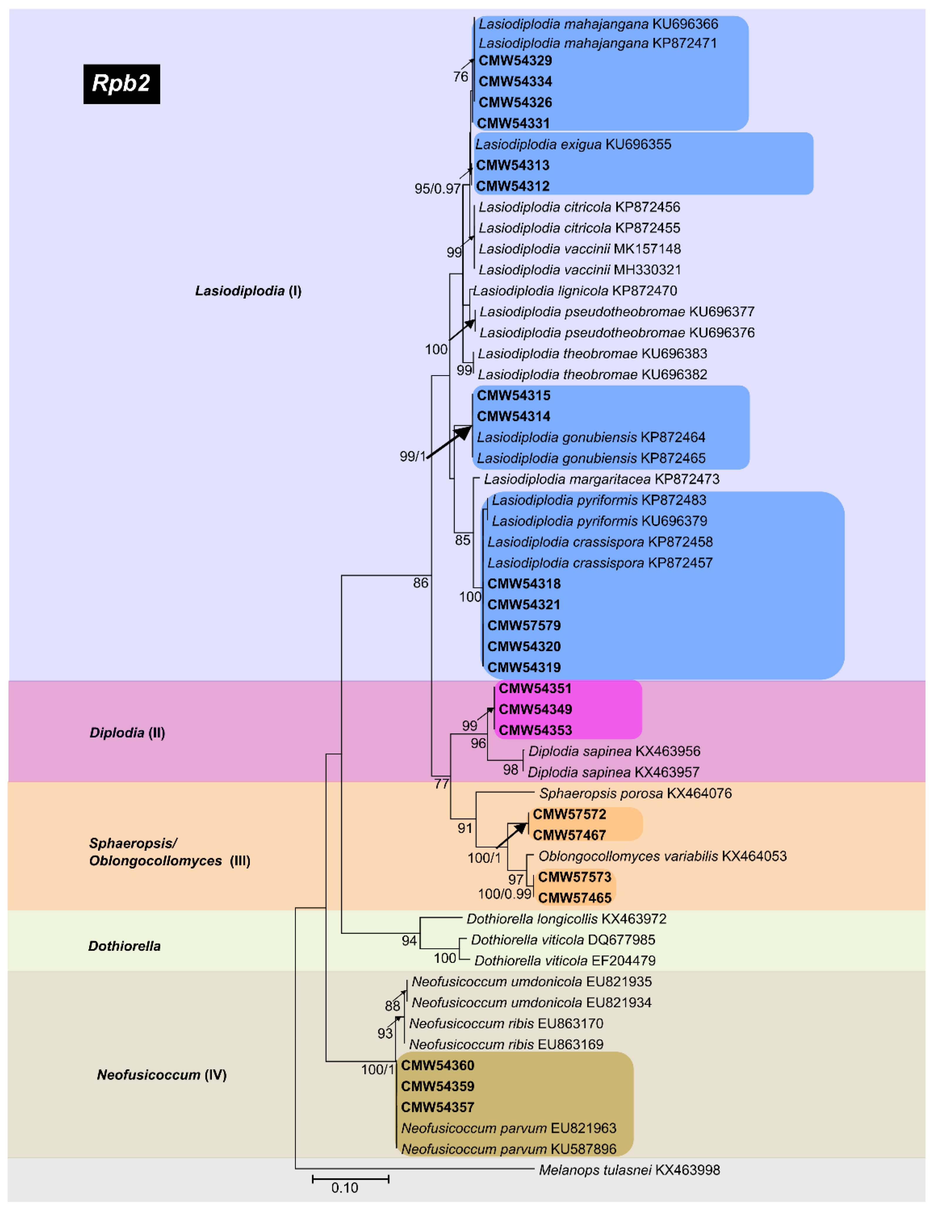 Forests 13 00341 g005 Forests 13 00341 g005