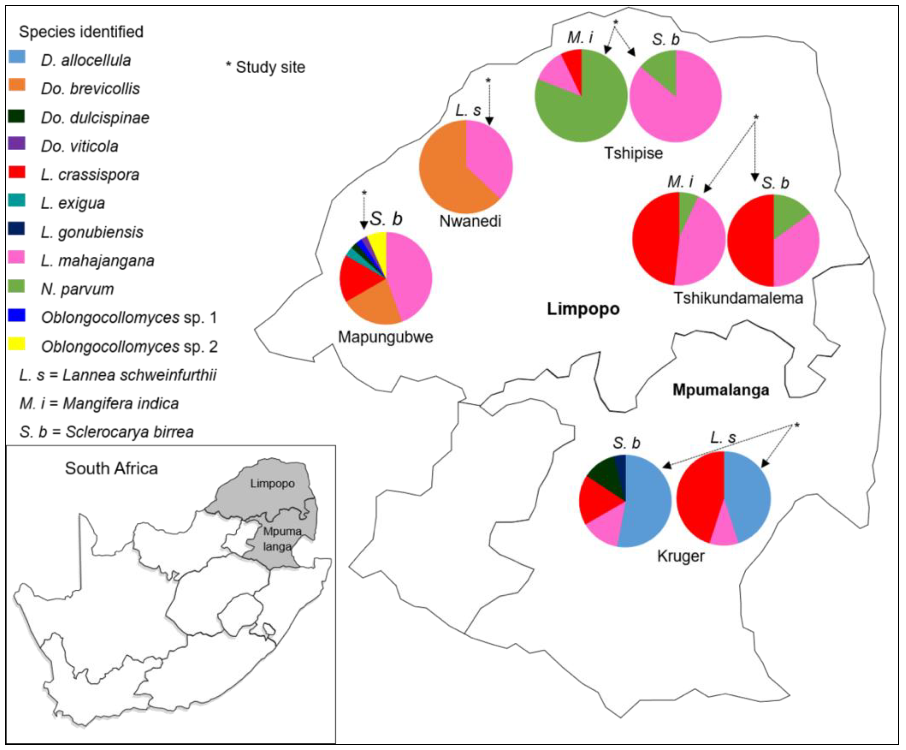 Forests 13 00341 g006 Forests 13 00341 g006
