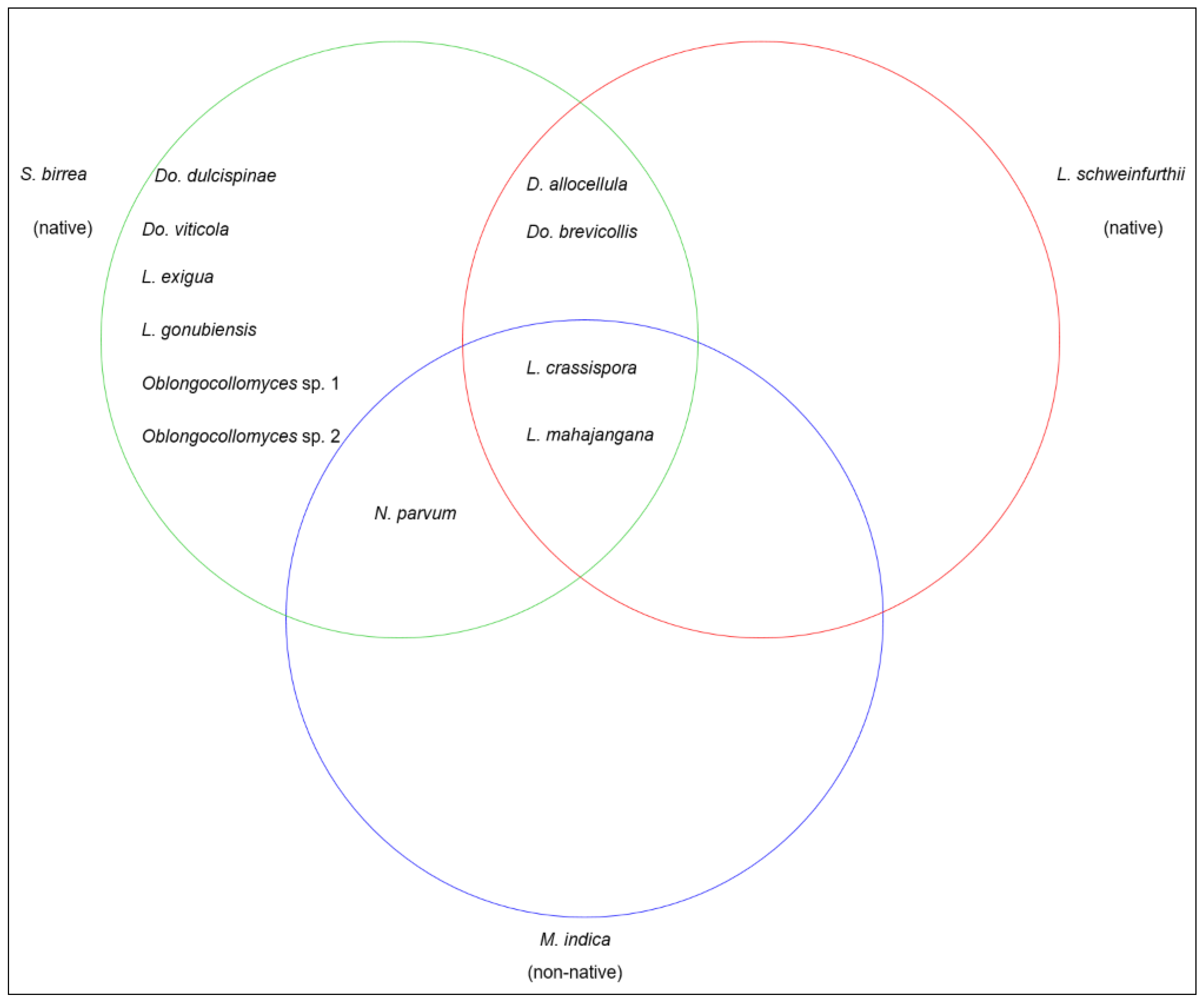 Forests 13 00341 g008 Forests 13 00341 g008