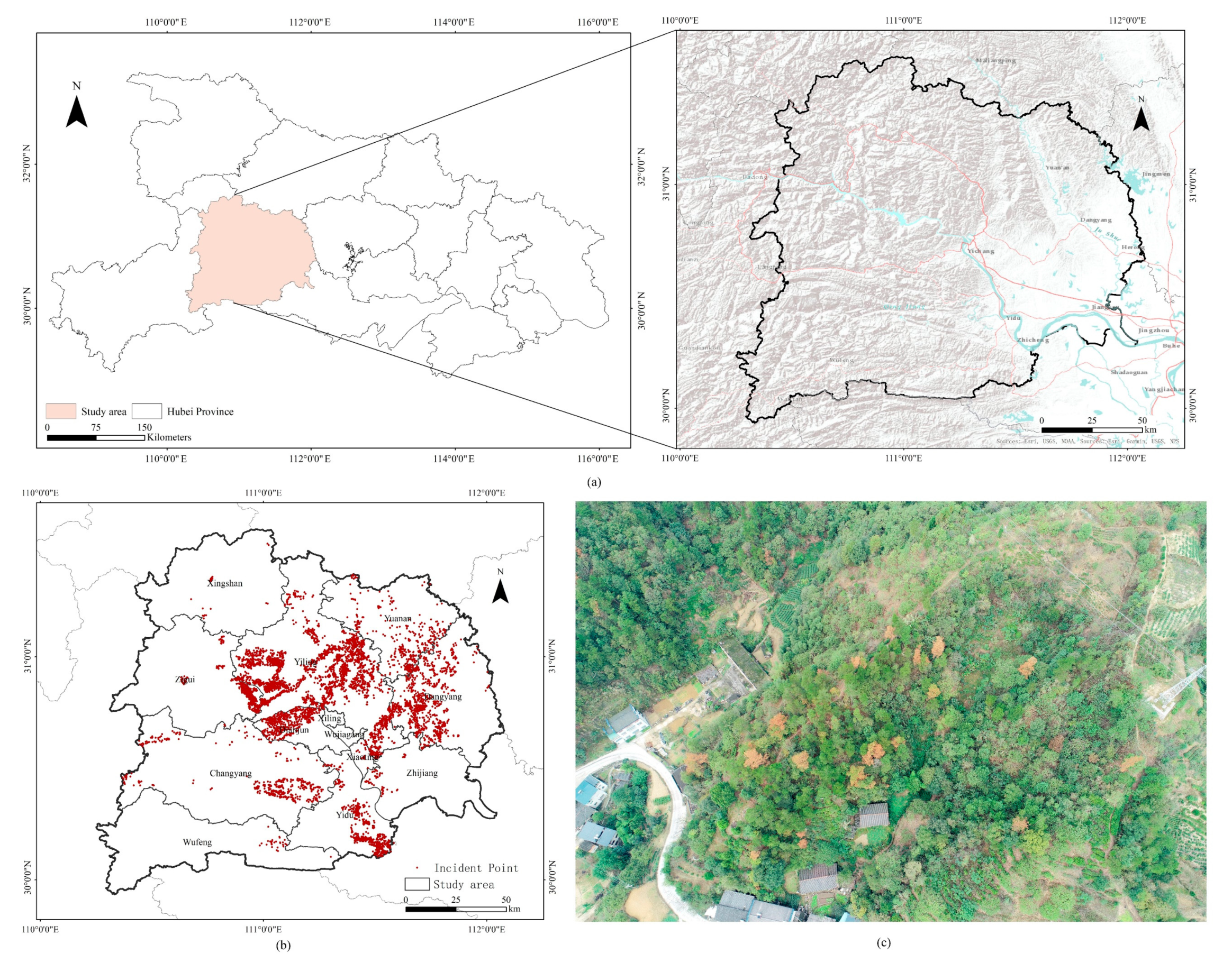 Forests 13 00342 g001