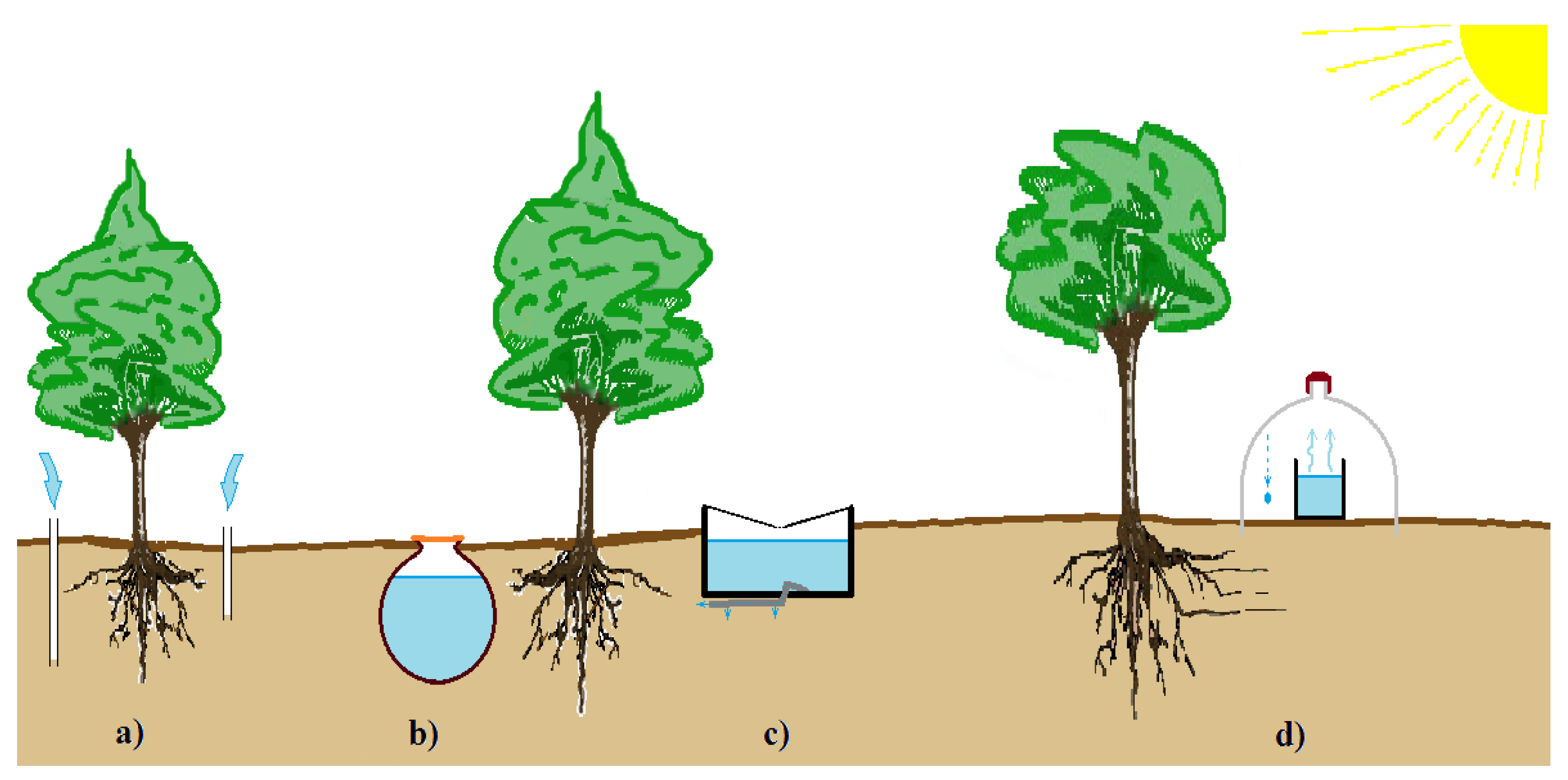 Forests 13 00351 g001 Forests 13 00351 g001