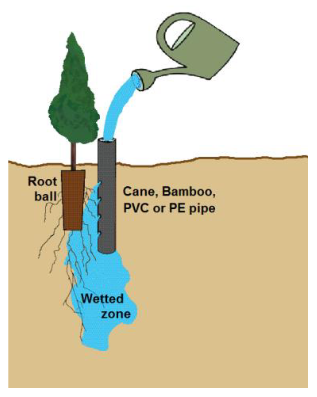 Forests 13 00351 g002 Forests 13 00351 g002