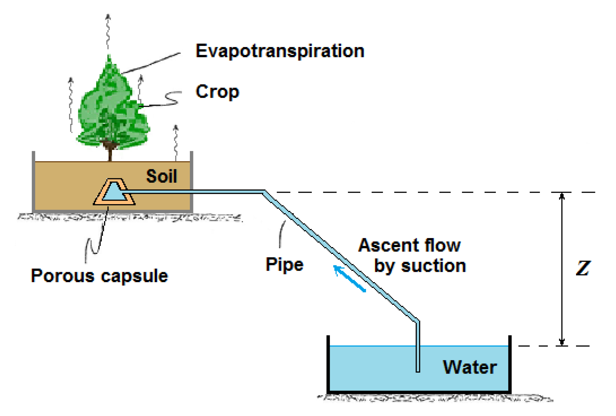 Forests 13 00351 g005 Forests 13 00351 g005