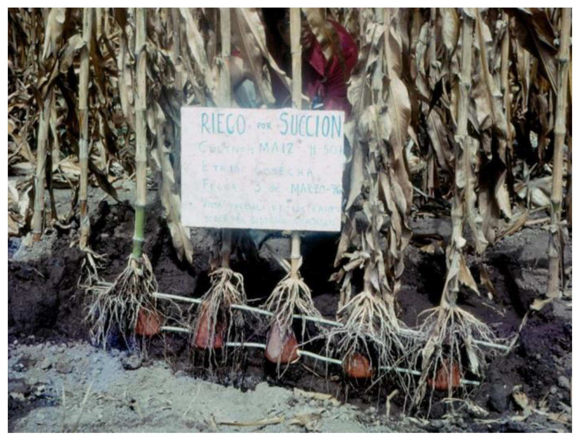 Forests 13 00351 g006 Forests 13 00351 g006