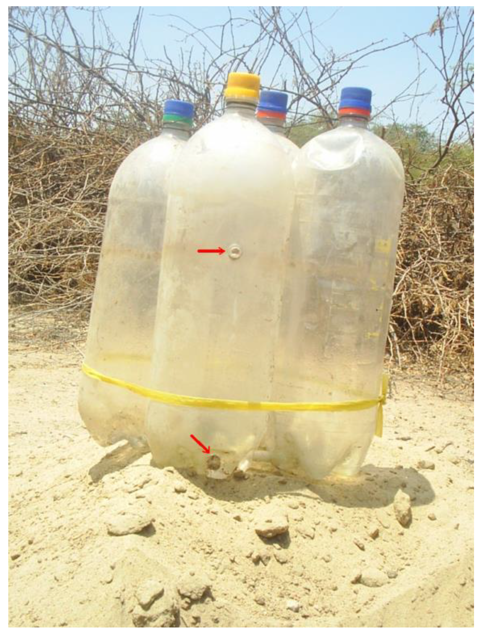 Forests 13 00351 g007 Forests 13 00351 g007