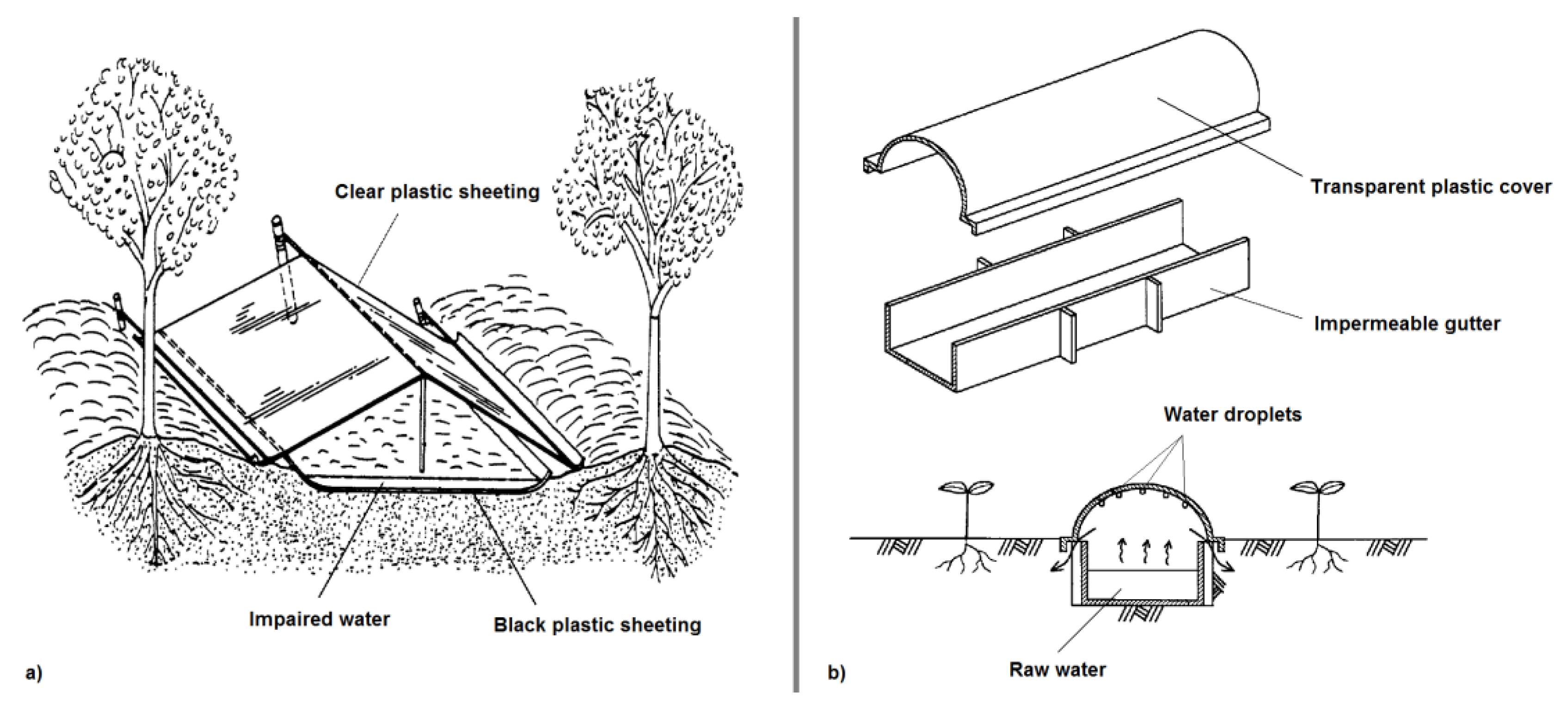 Forests 13 00351 g013 Forests 13 00351 g013