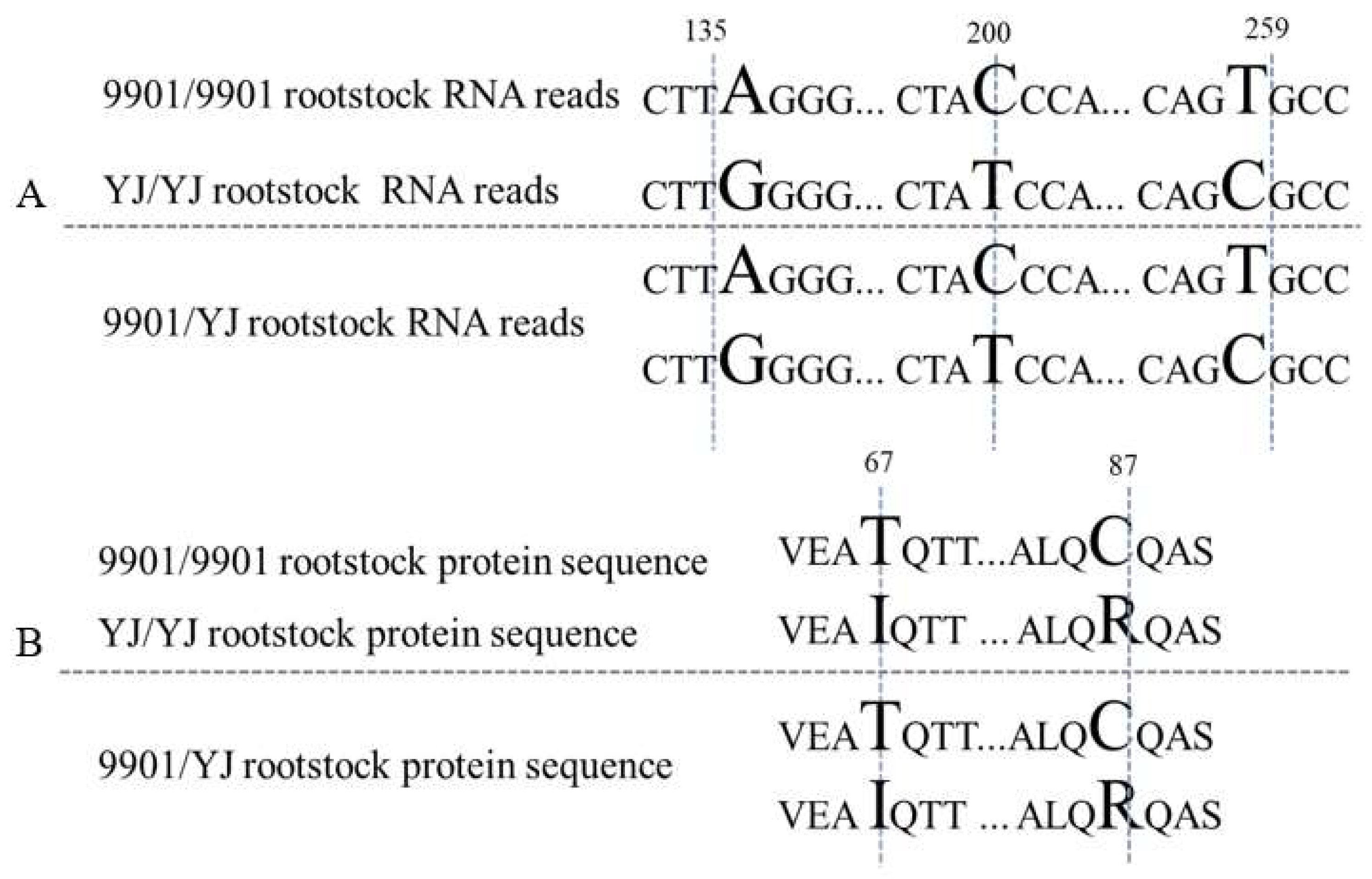 Forests 13 00354 g005 550