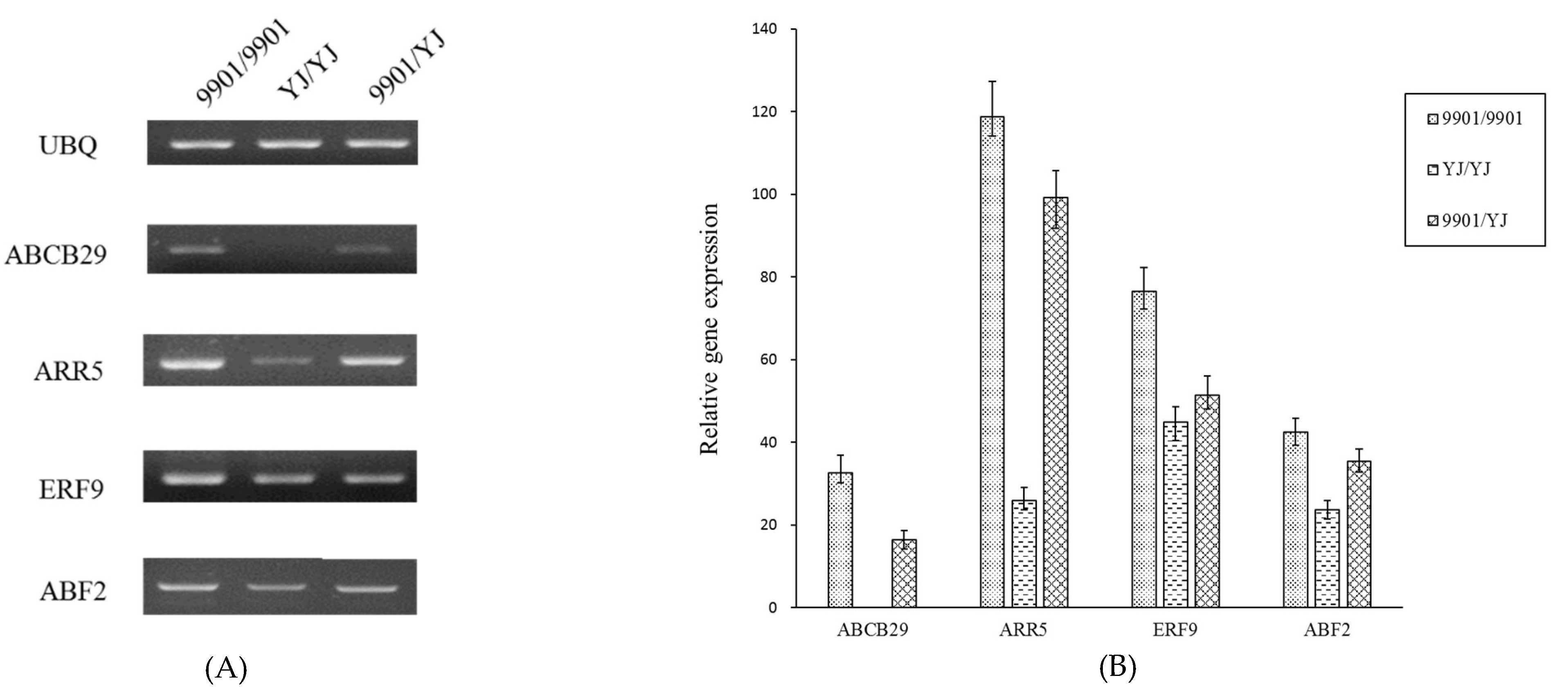 Forests 13 00354 g006 550