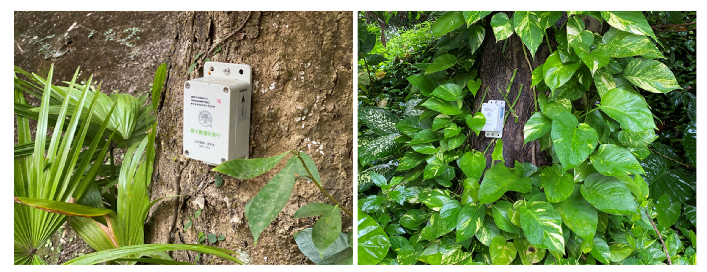 Forests 13 00359 g003 550