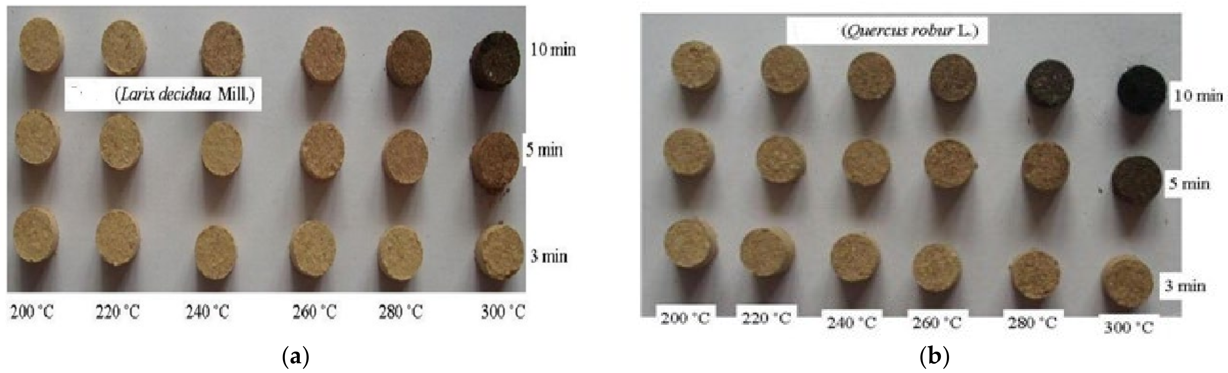 Forests 13 00361 g002 550