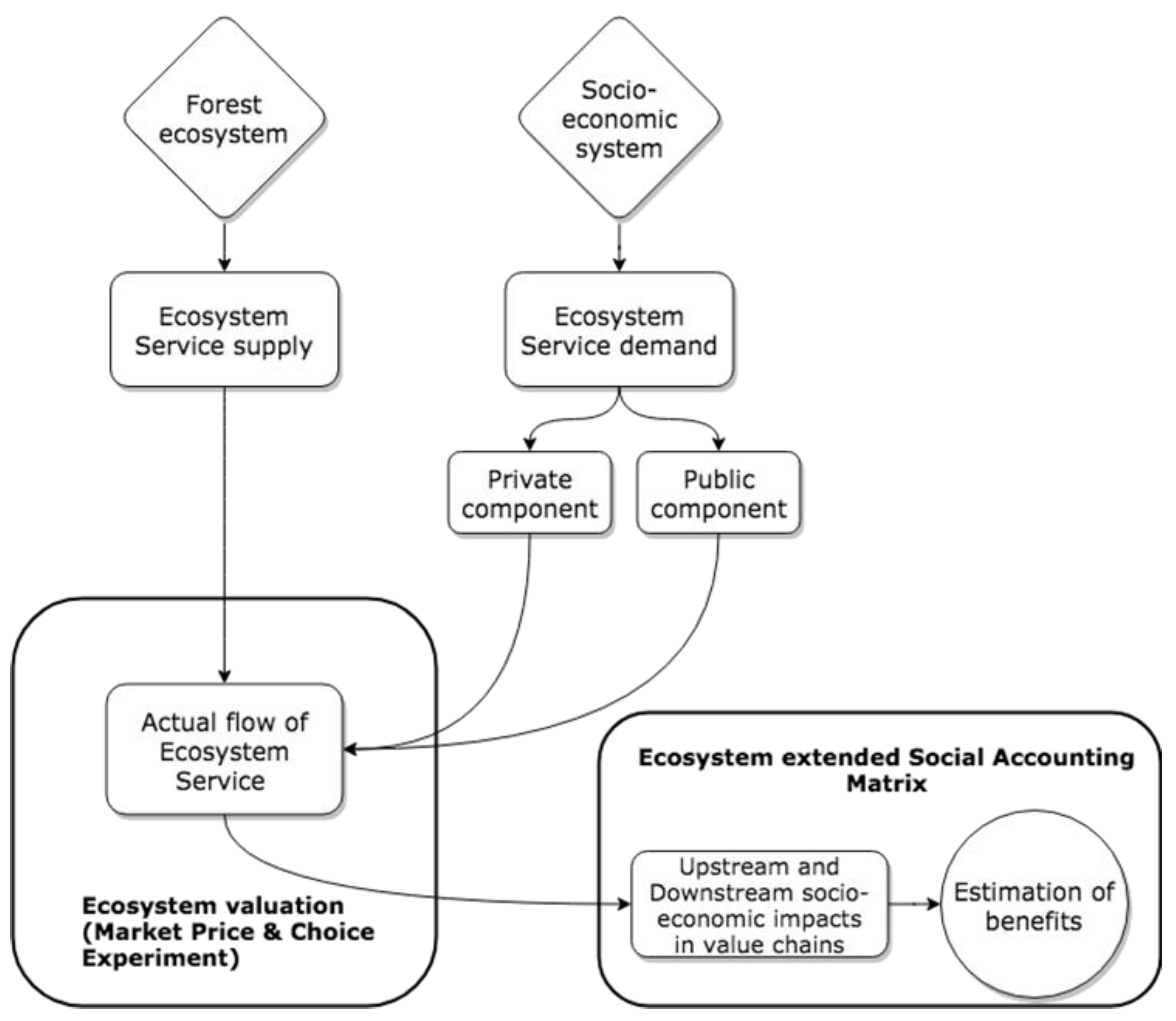 Forests 13 00362 g001 550