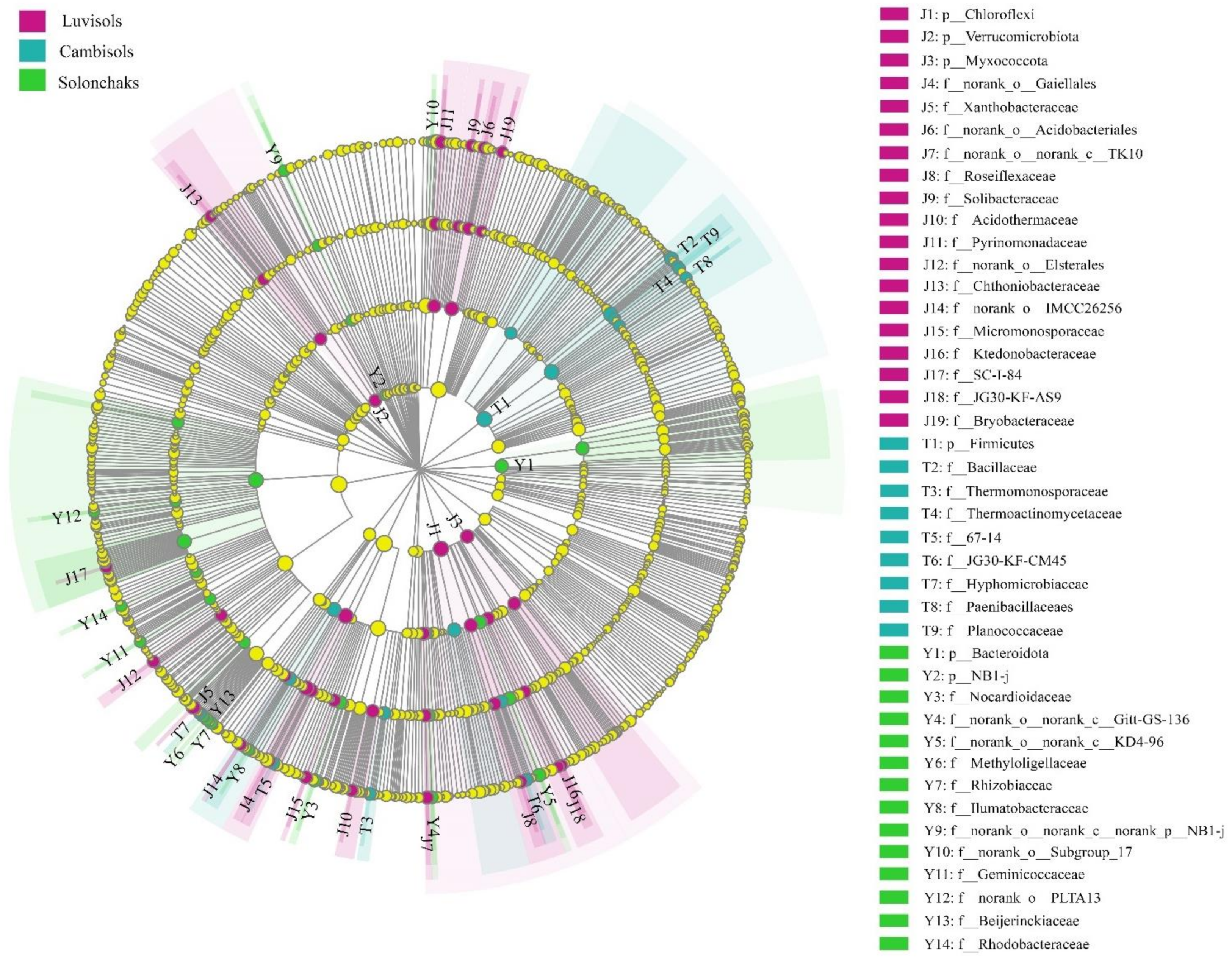 Forests 13 00363 g003 550