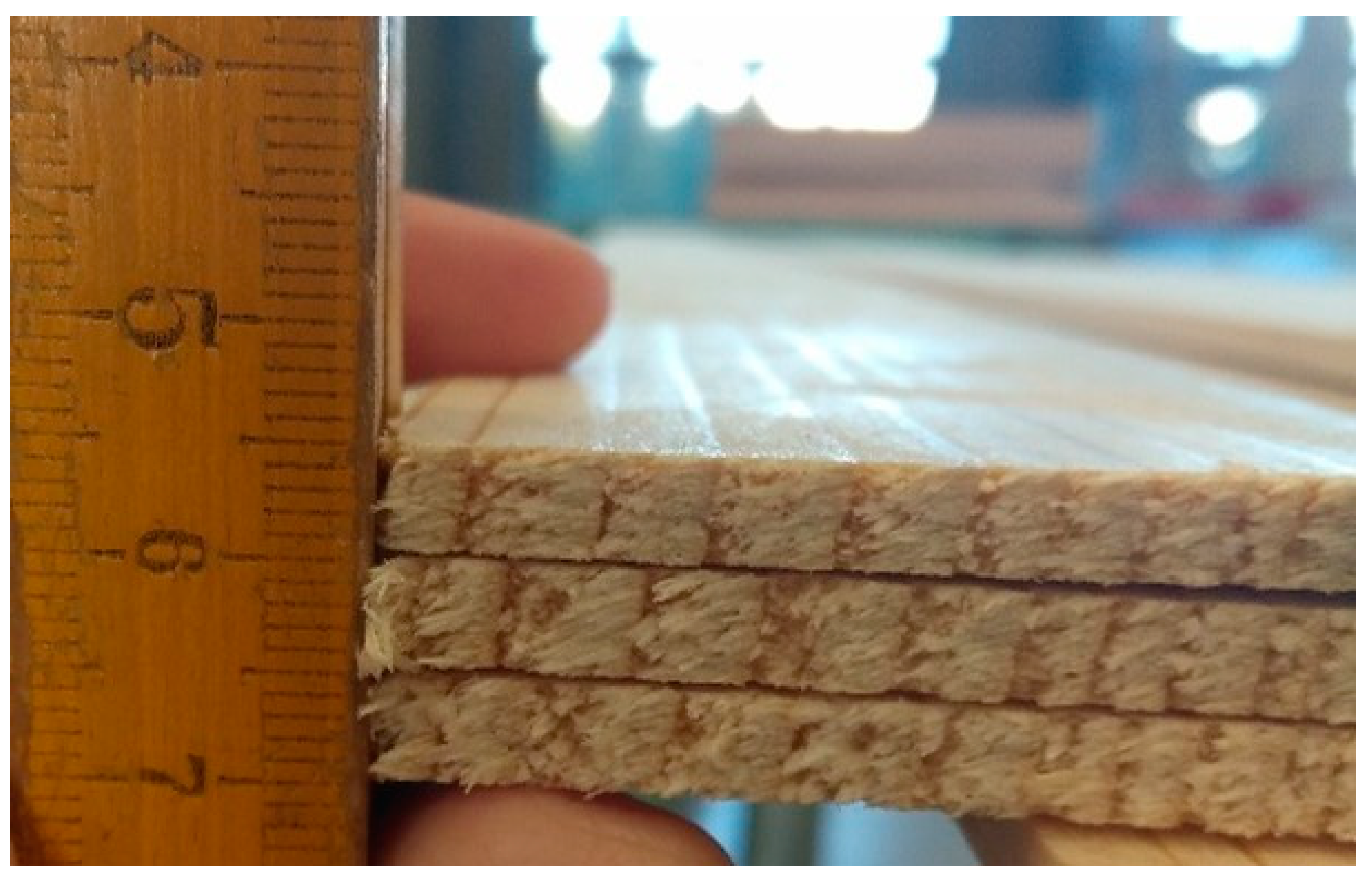 Forests 13 00364 g001 Forests 13 00364 g001