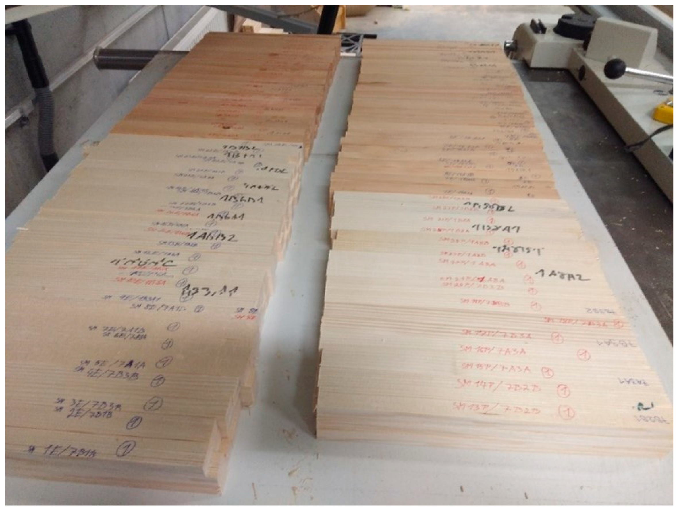 Forests 13 00364 g002 Forests 13 00364 g002