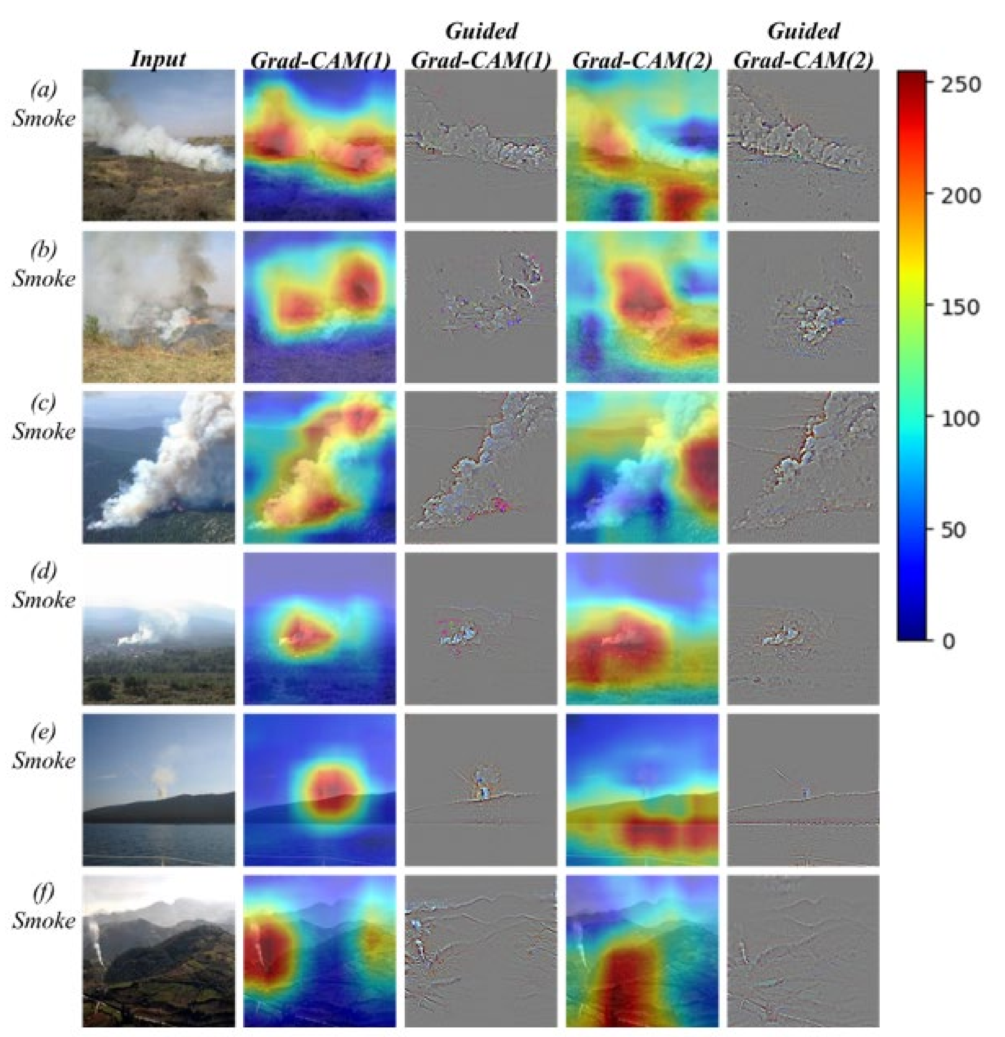 Forests 13 00366 g006