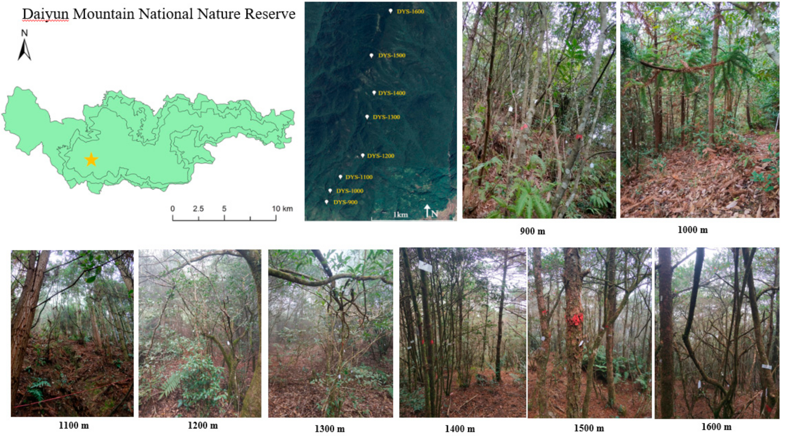 Forests 13 00372 g001