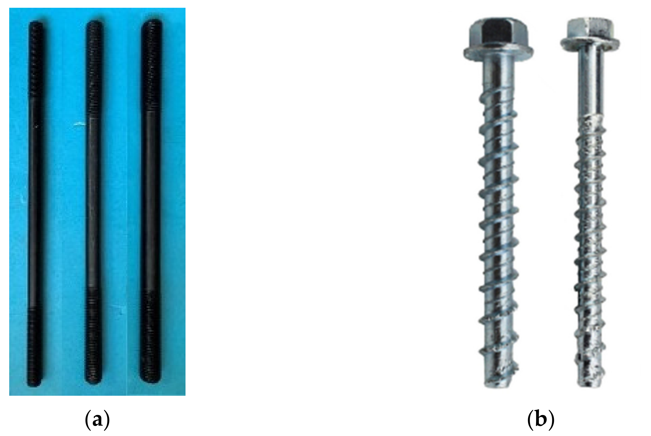 Forests 13 00375 g001