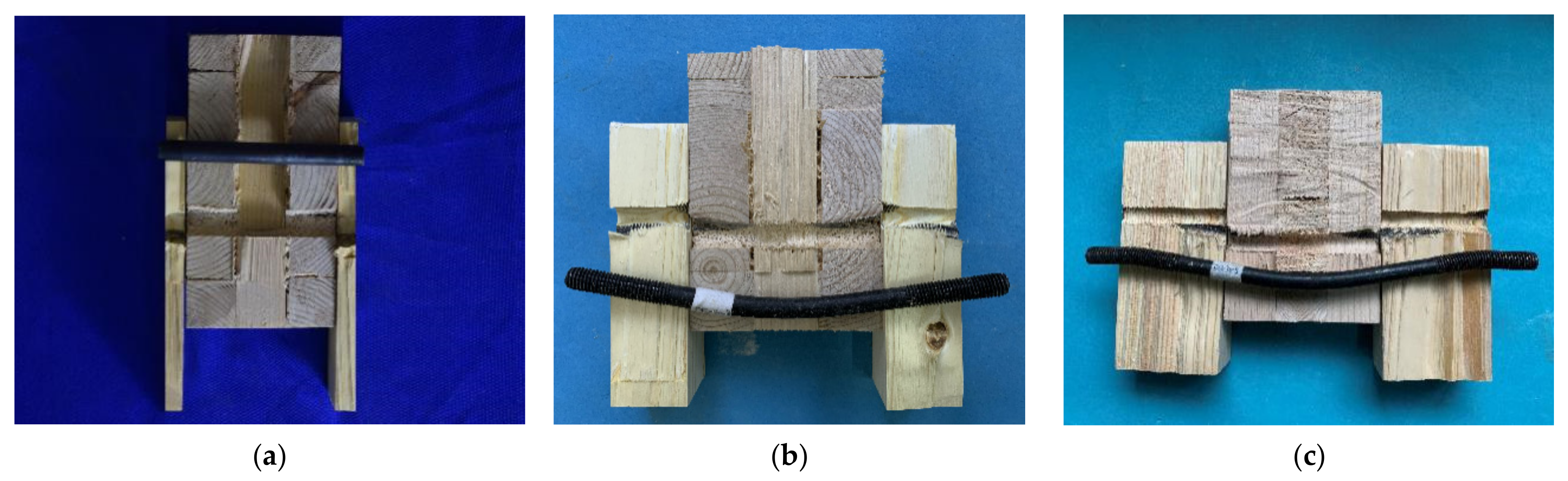 Forests 13 00375 g022