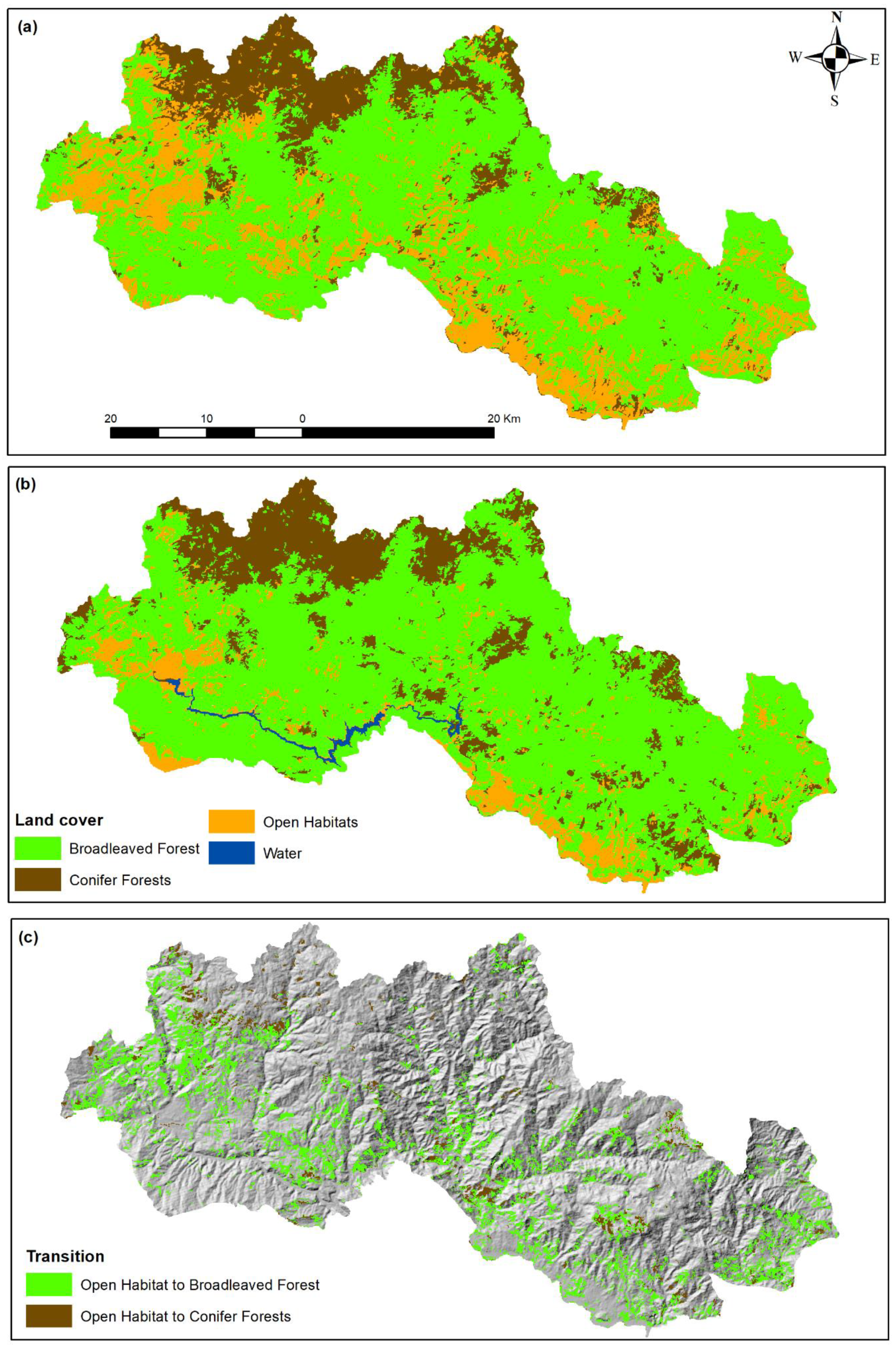 Forests 13 00377 g004 550